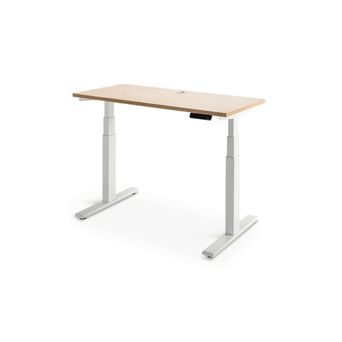 Enhance Electric Height Adjustable Desk
