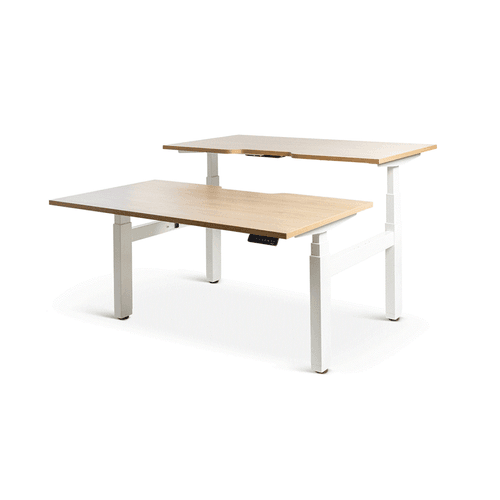 Enhance Electric Height Adjustable Shared Desk