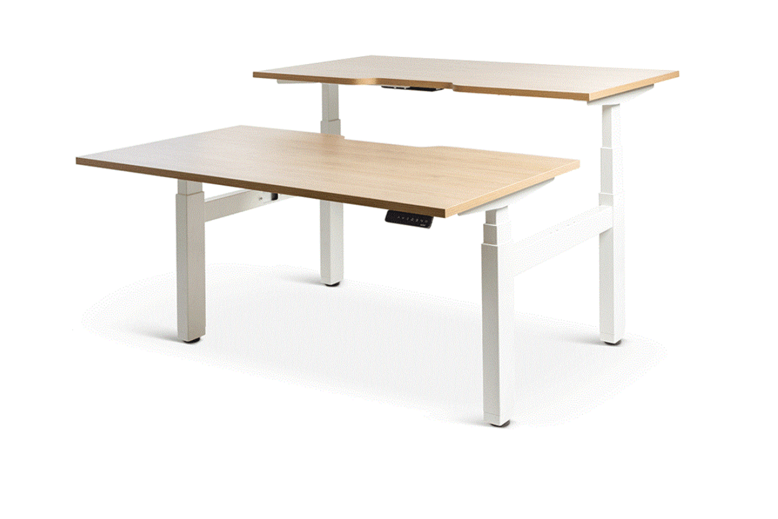 Enhance Electric Height Adjustable Shared Desk