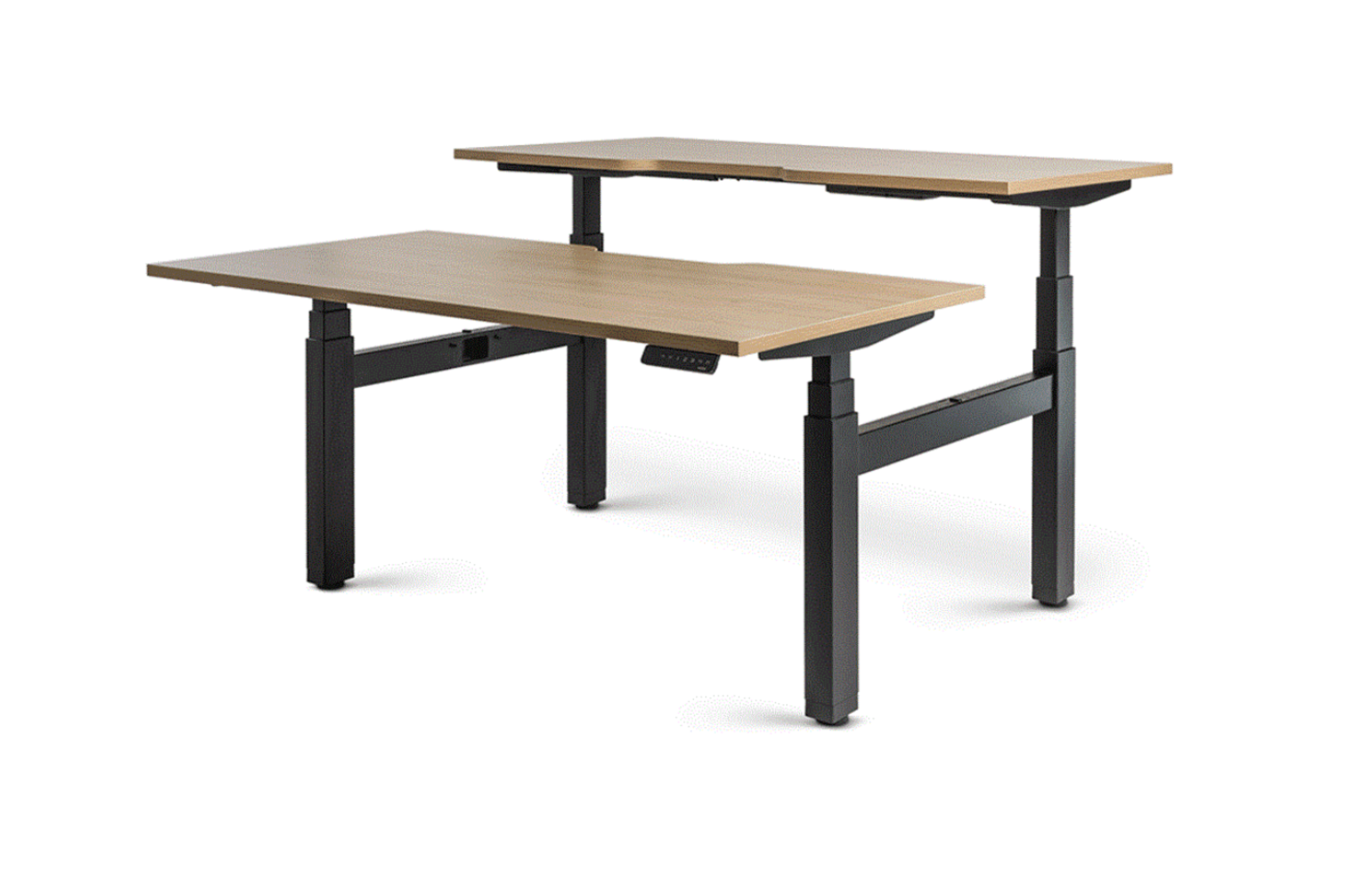 Enhance Electric Height Adjustable Shared Desk