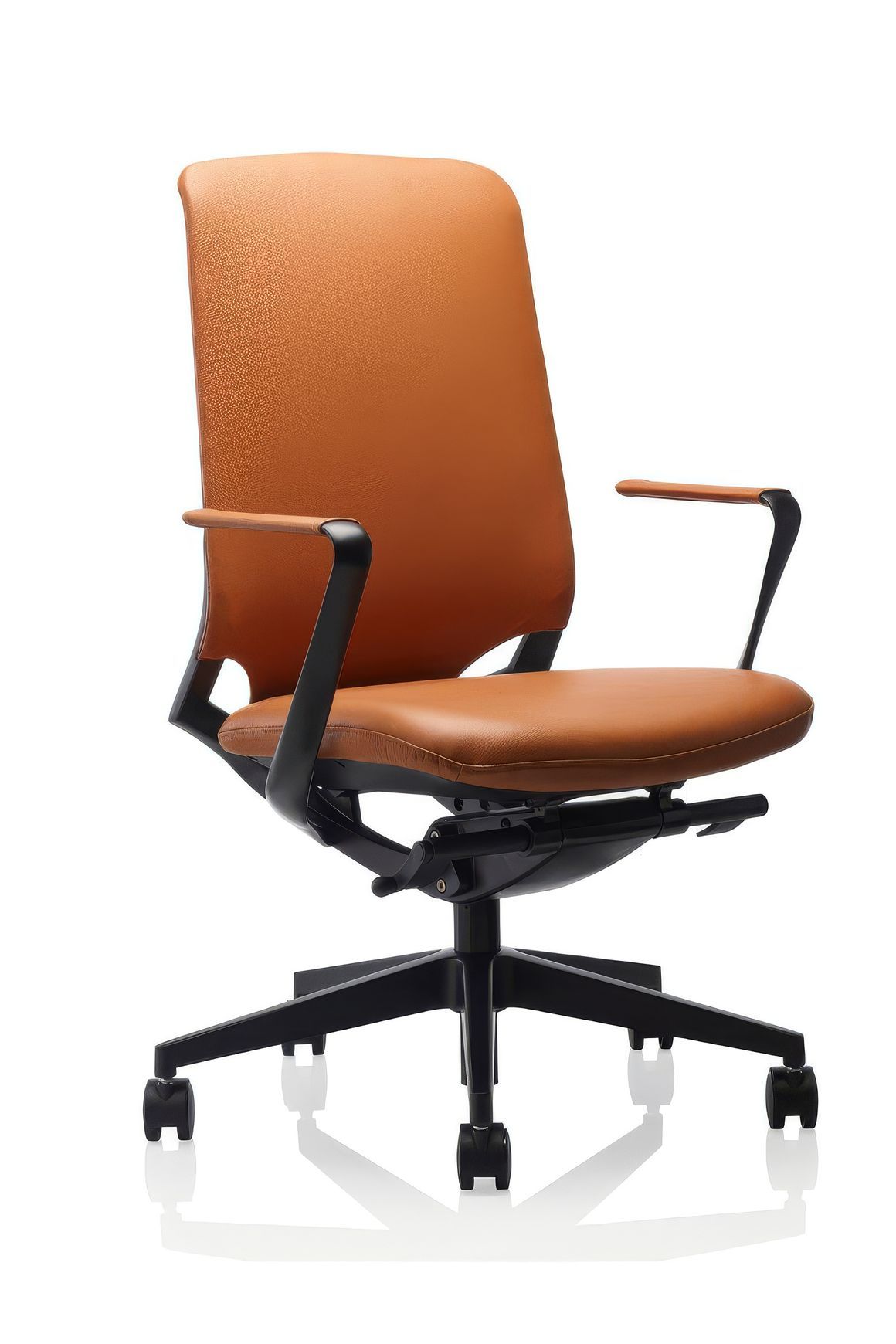 Acacia Exec 12