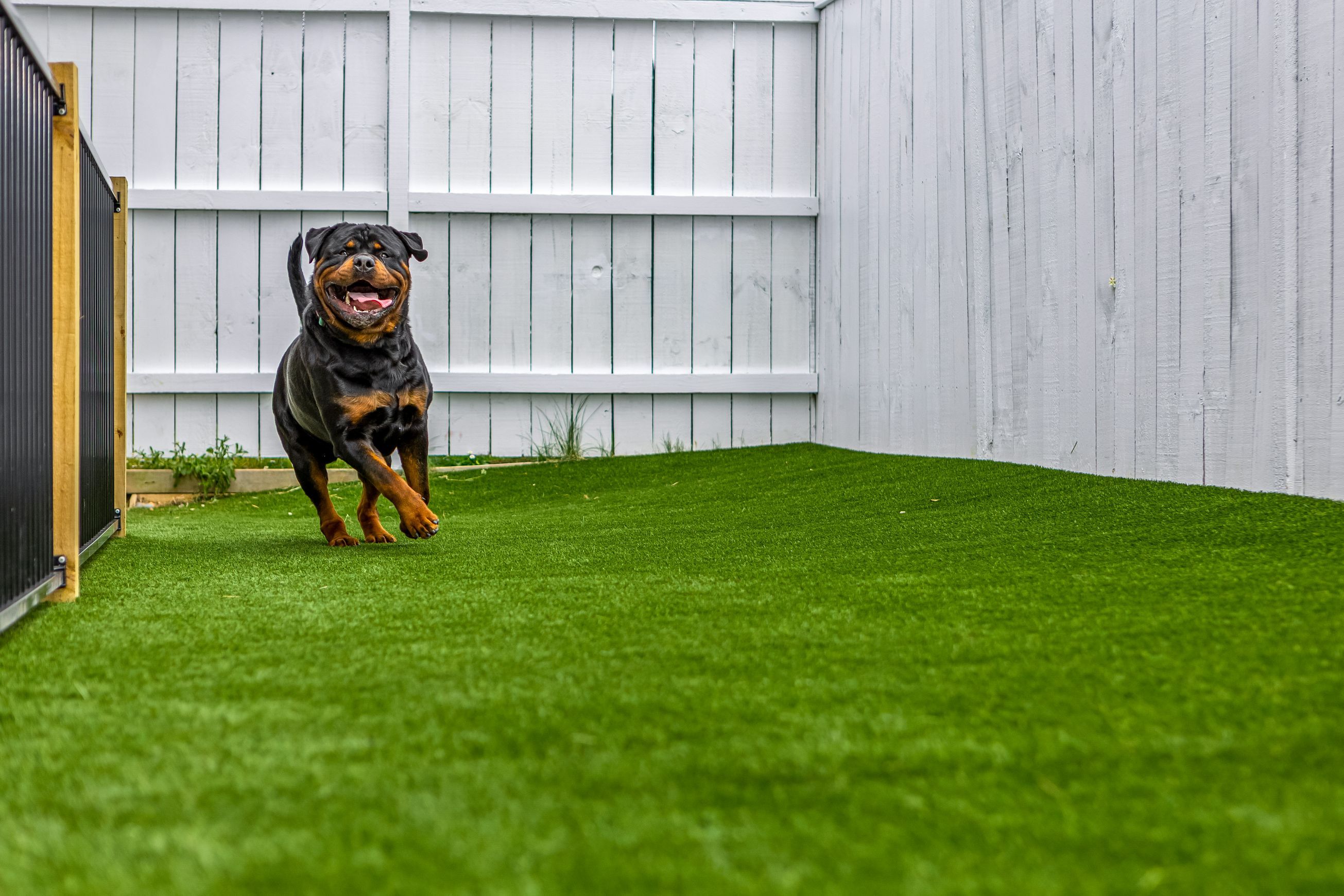 ActivePro 30 - Artificial Grass