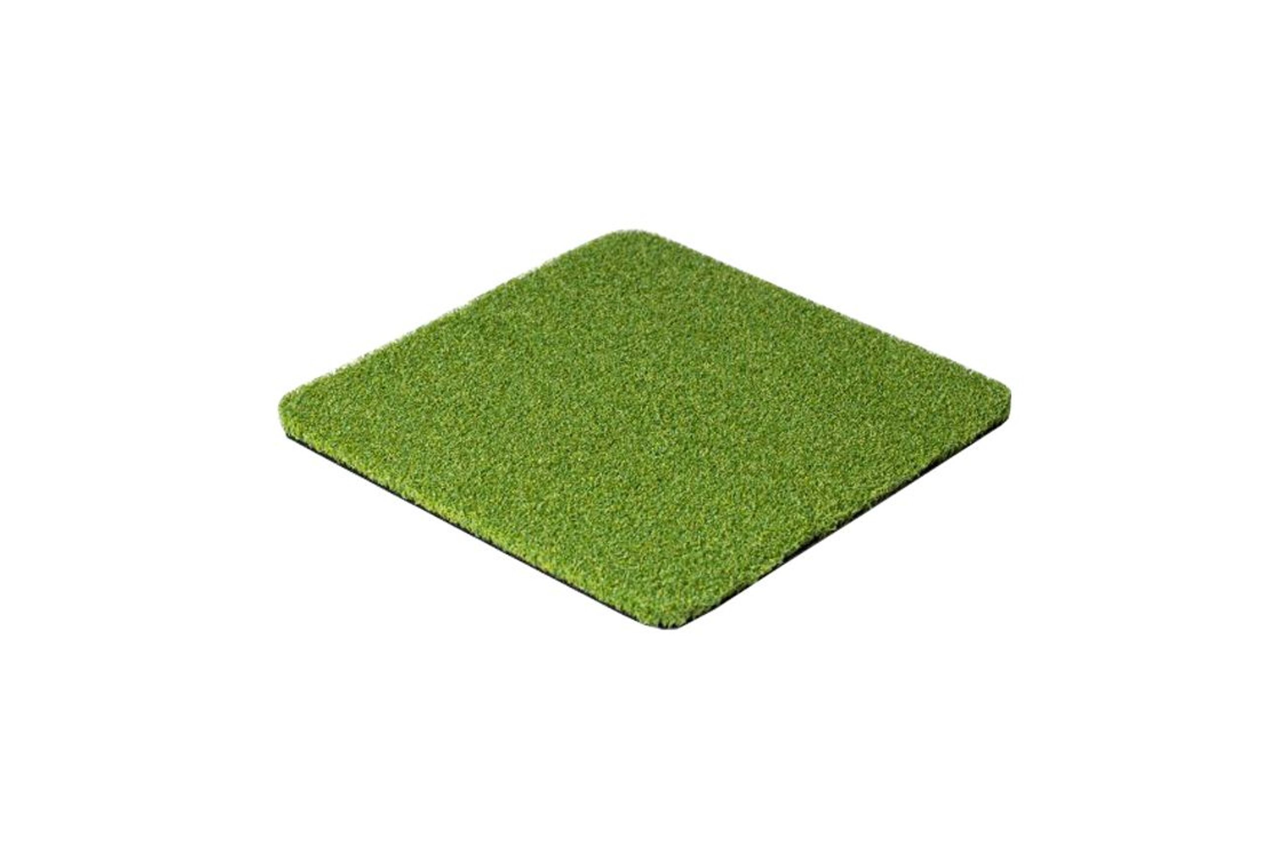 Pro Putt 16 - Artificial Grass