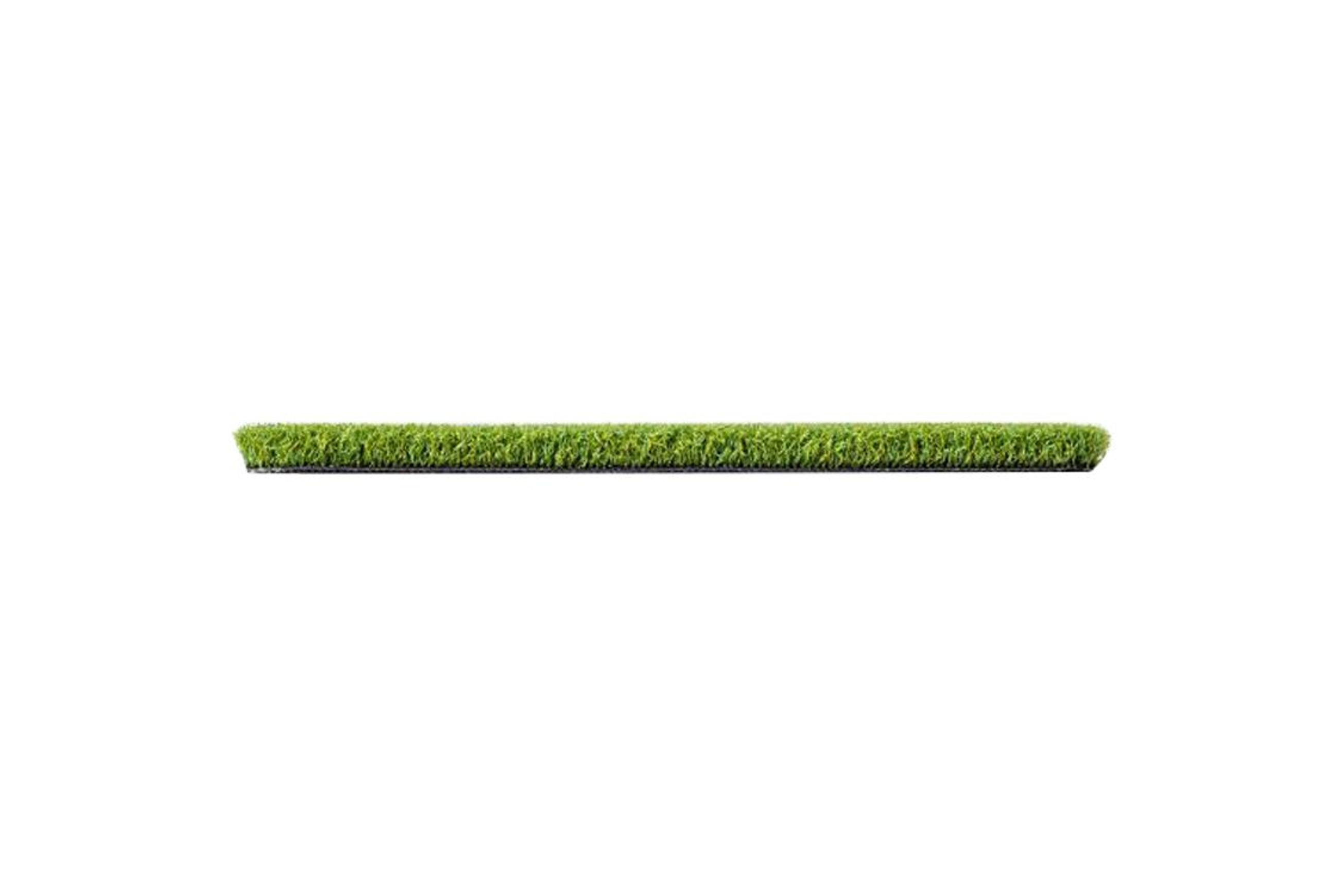 Pro Putt 16 - Artificial Grass