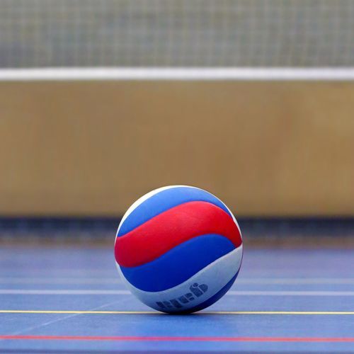 Volleyball Artificial Turf | Sports Grass by SmartGrass