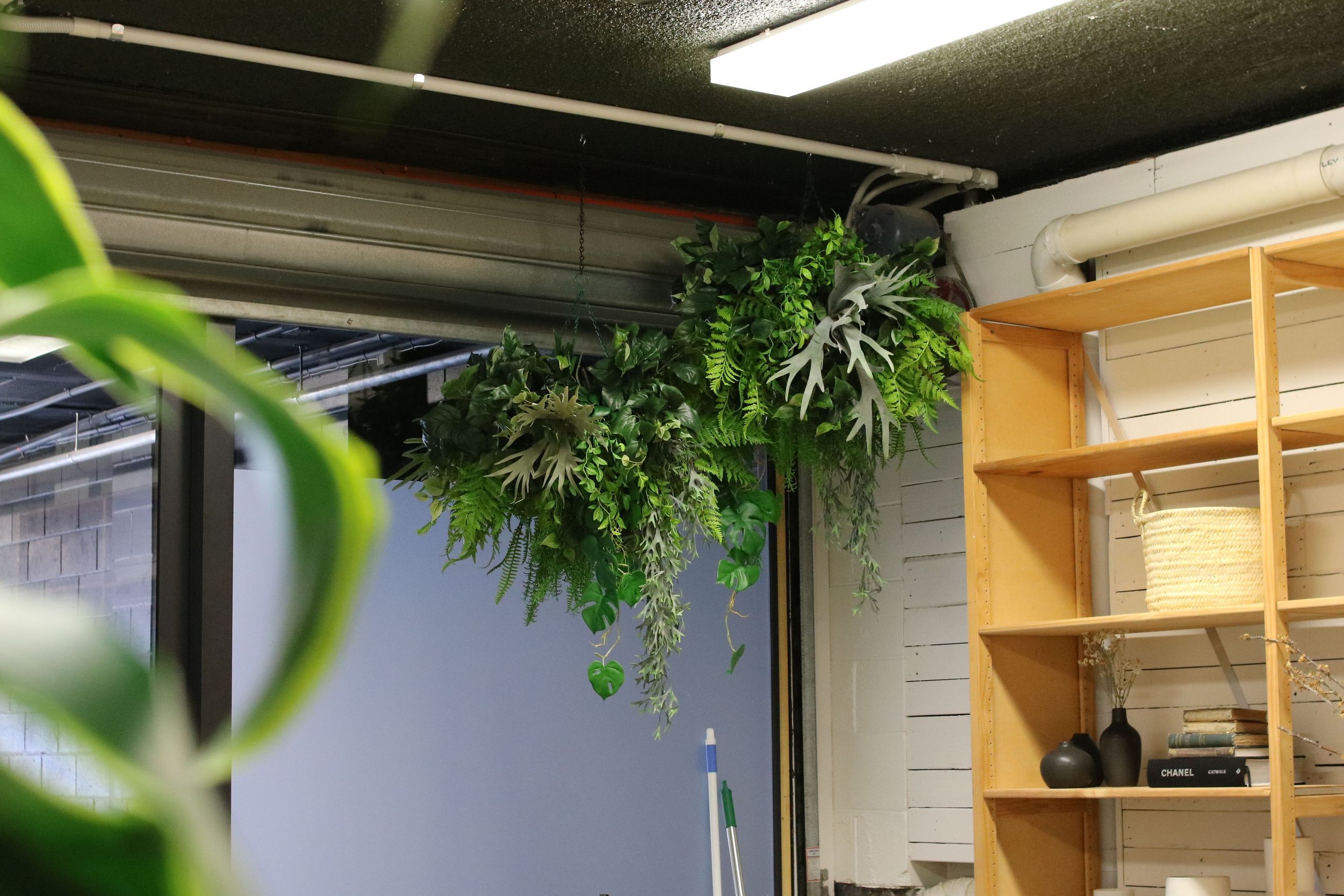 Artificial Plant Solutions | Hire Plants
