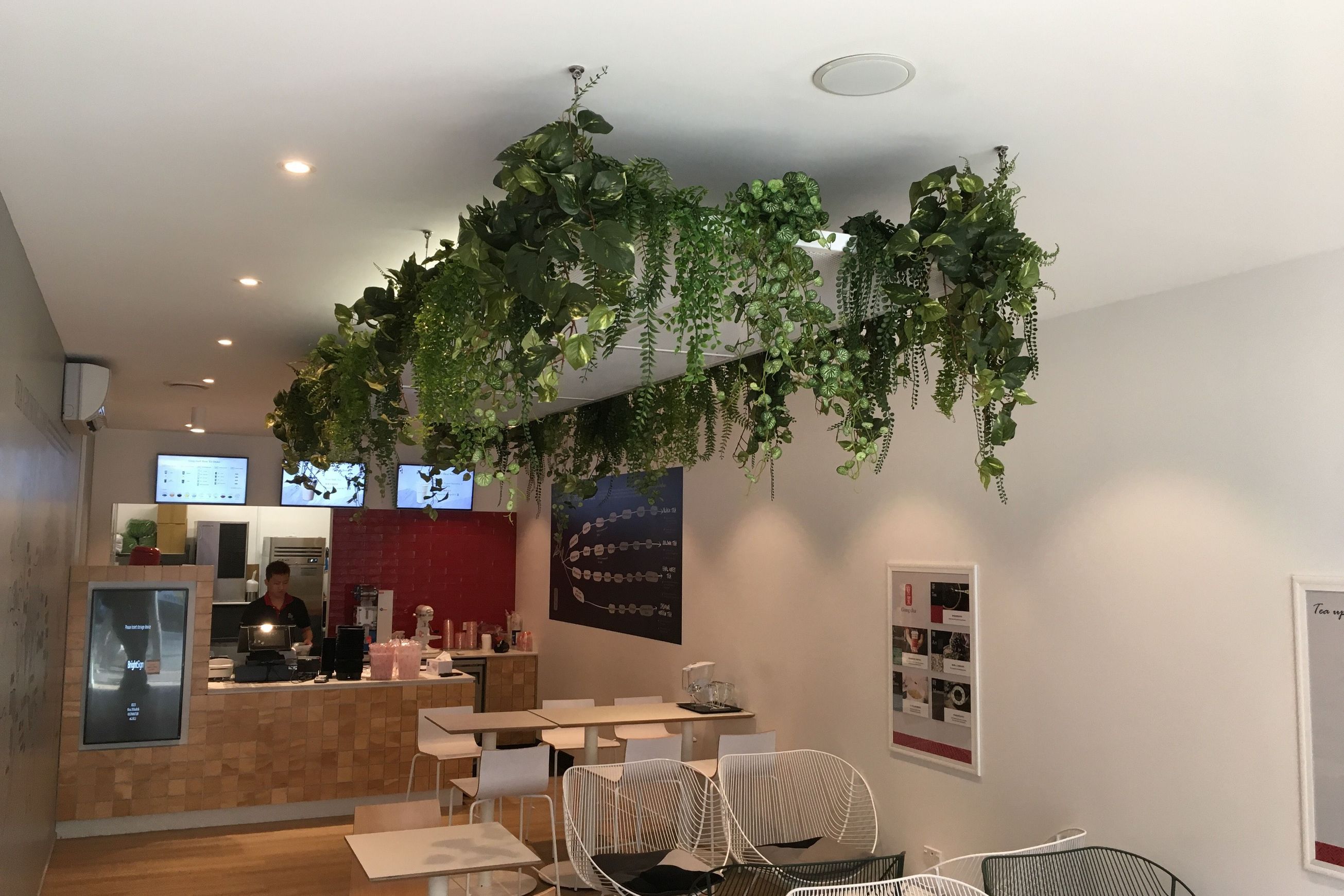 Artificial Plant Solutions | Hire Plants