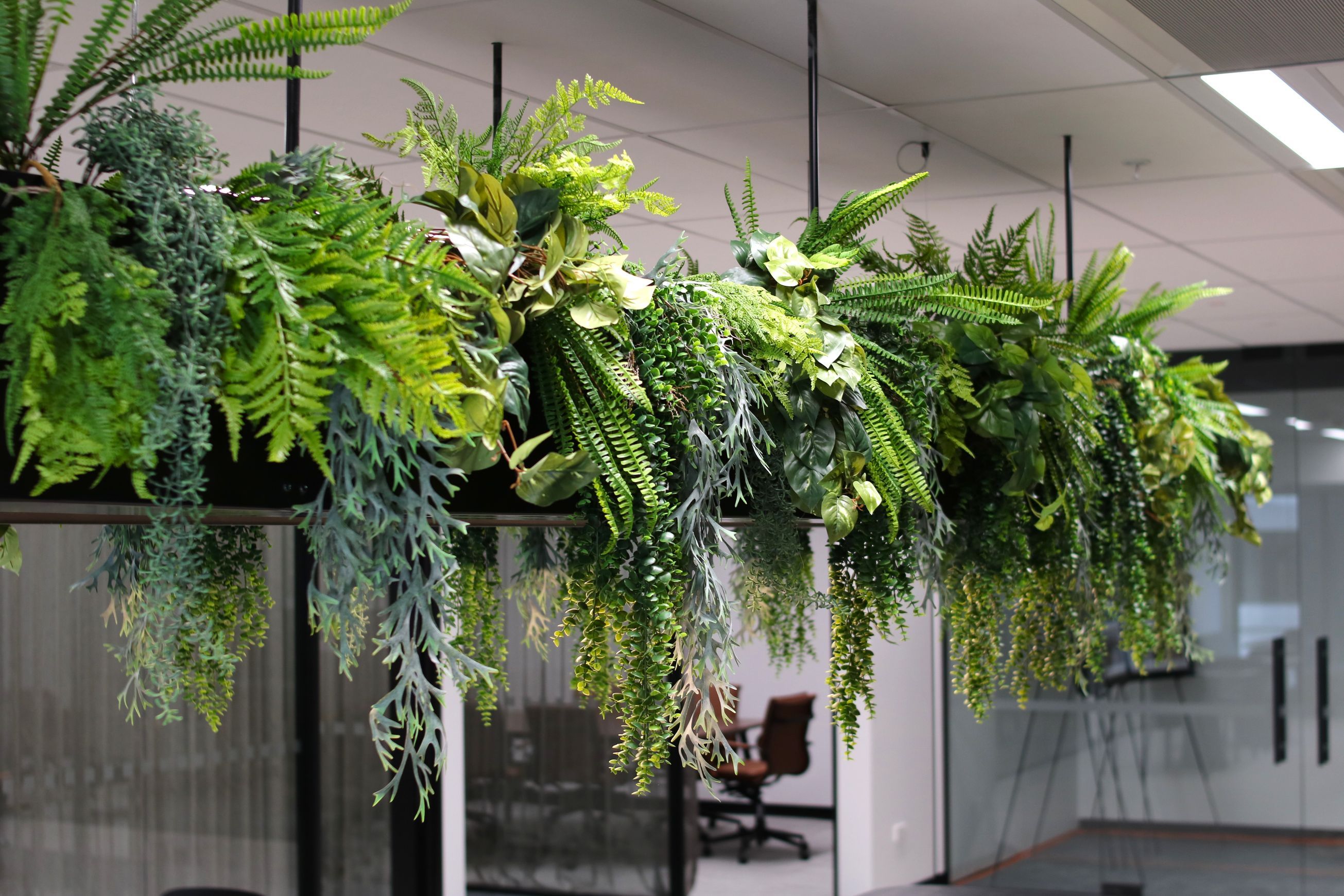Artificial Plant Solutions | Hire Plants