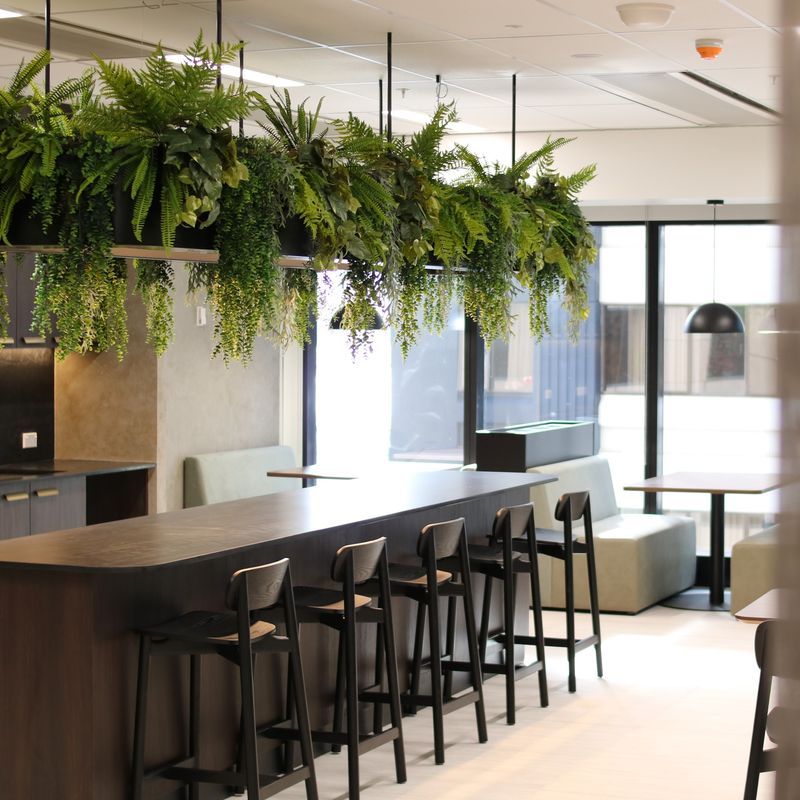 Artificial Plant Solutions | Hire Plants