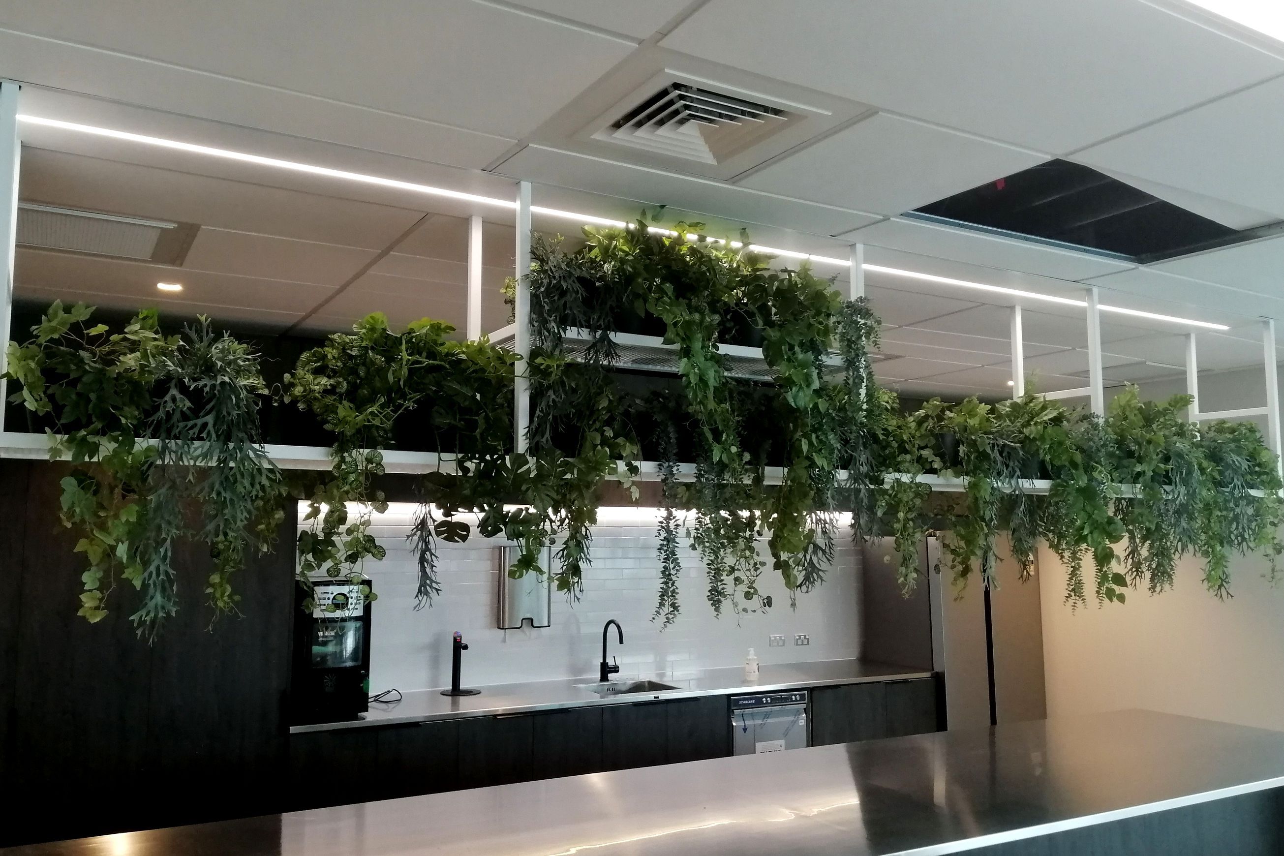Artificial Plant Solutions | Hire Plants