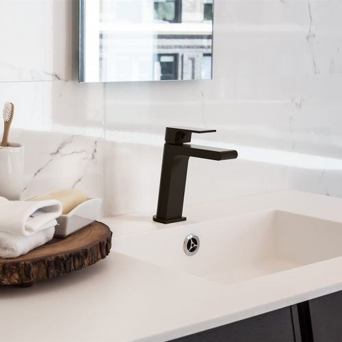 Bianca Basin Mixer | Matte Black