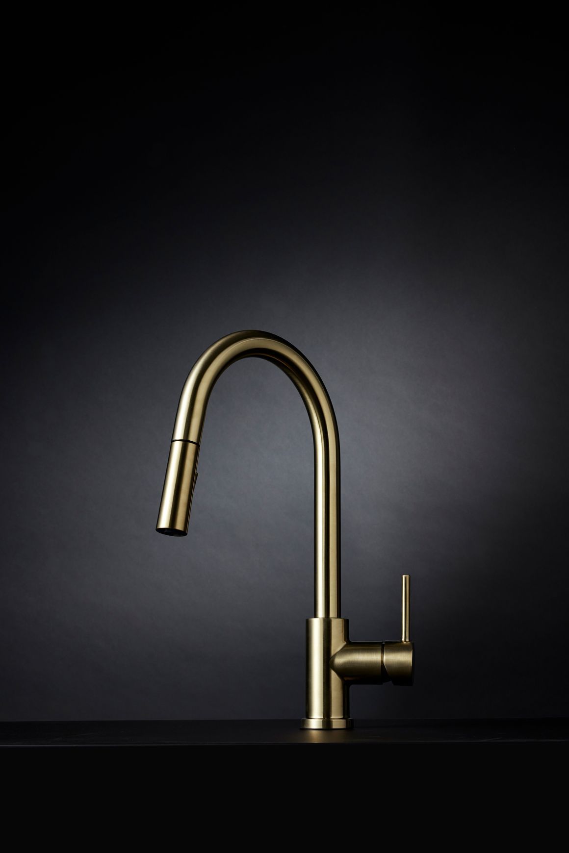 Uno Goose Neck Kitchen Mixer With Pull Out Spray