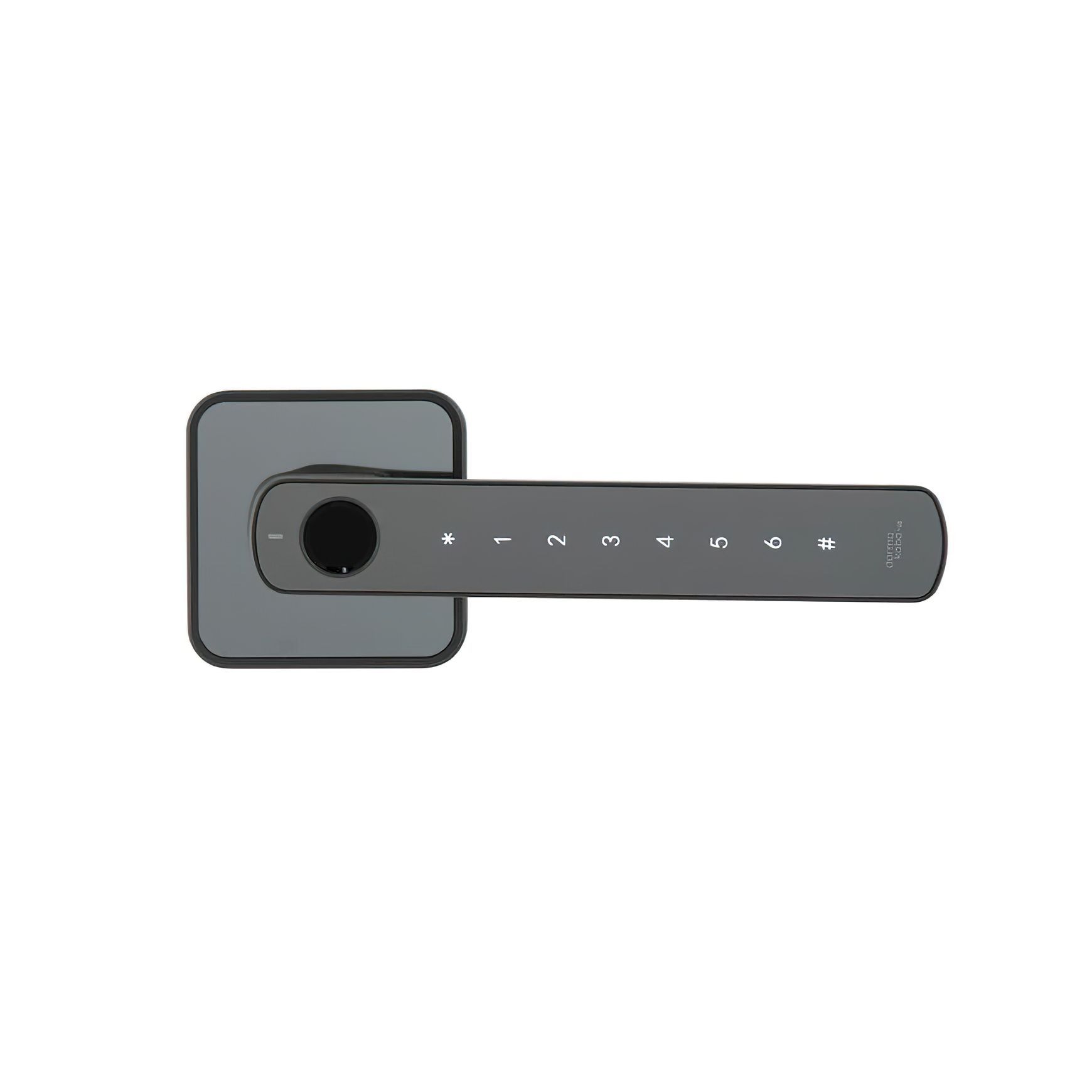 Rose Biometric Digital Lever