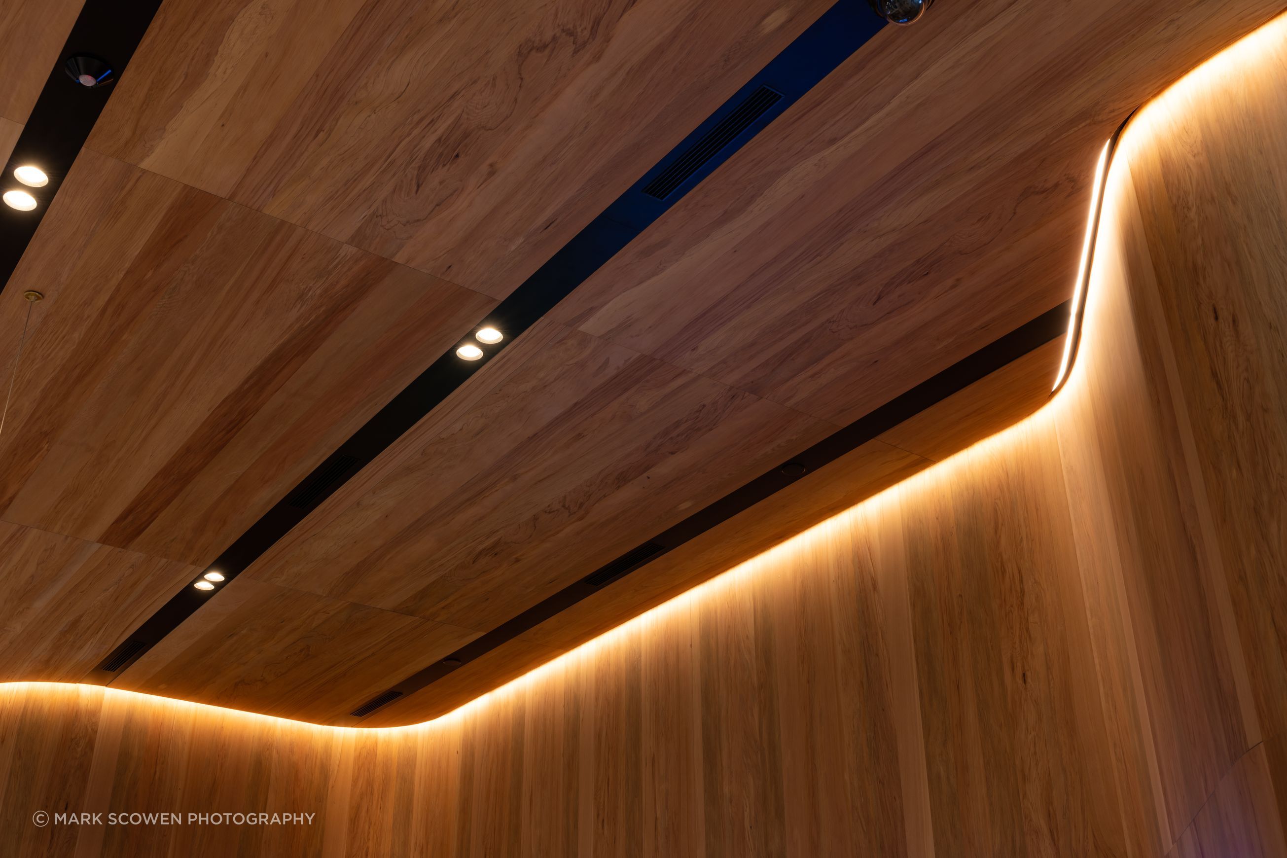 Prime Toitū Veneer Interior Panels