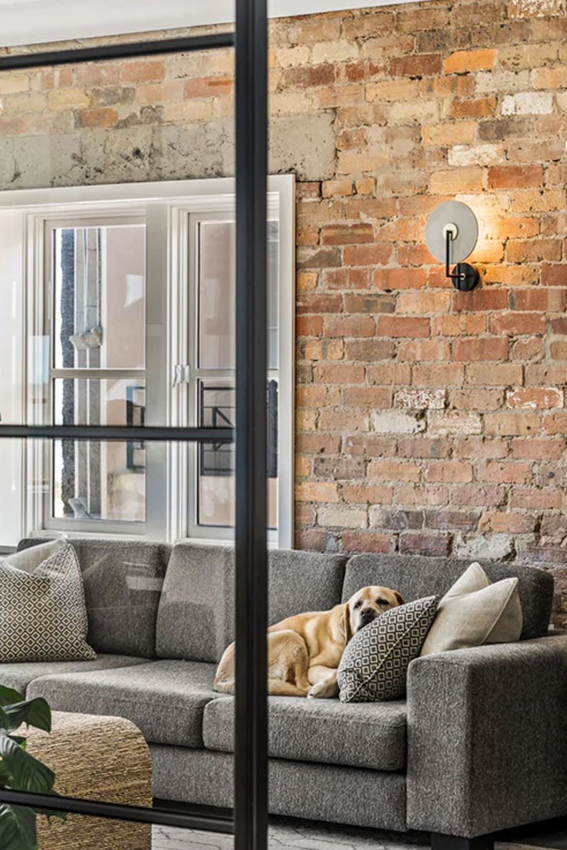 Steel Frame Glass Bifold Doors - Galvanised FPS50