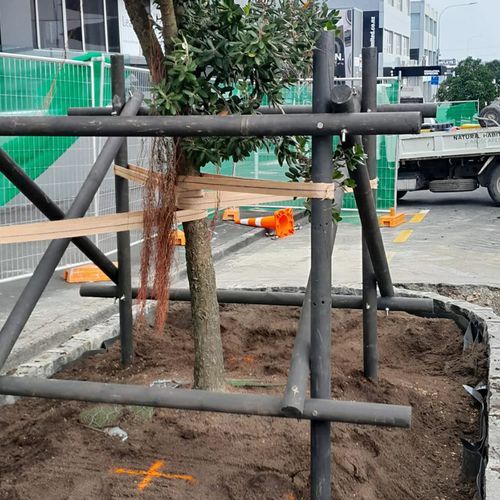 Treated Pine Stakes Rounded Painted Black