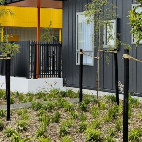 Treated Pine Stakes Painted Black