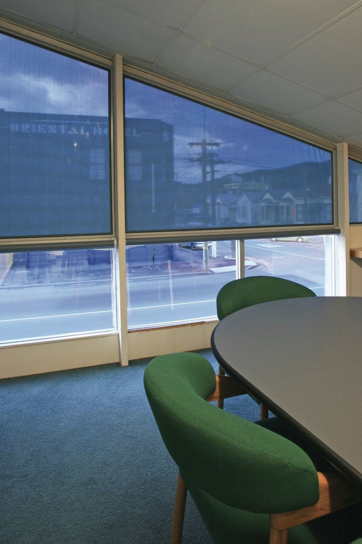 Specialty Blinds