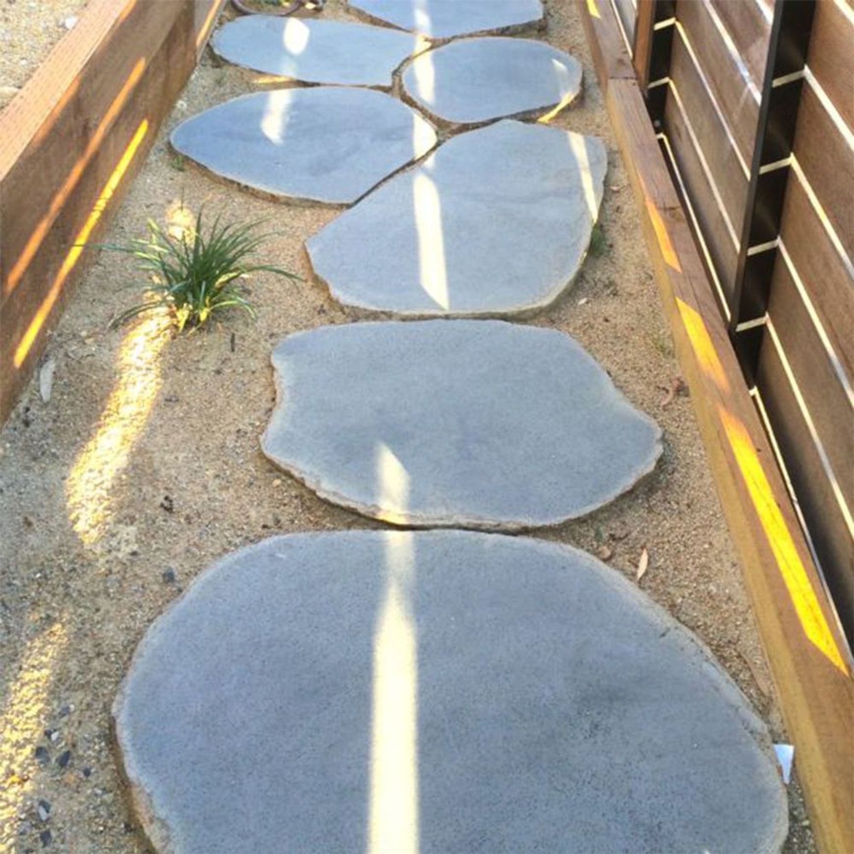 Premium Bluestone Steppers
