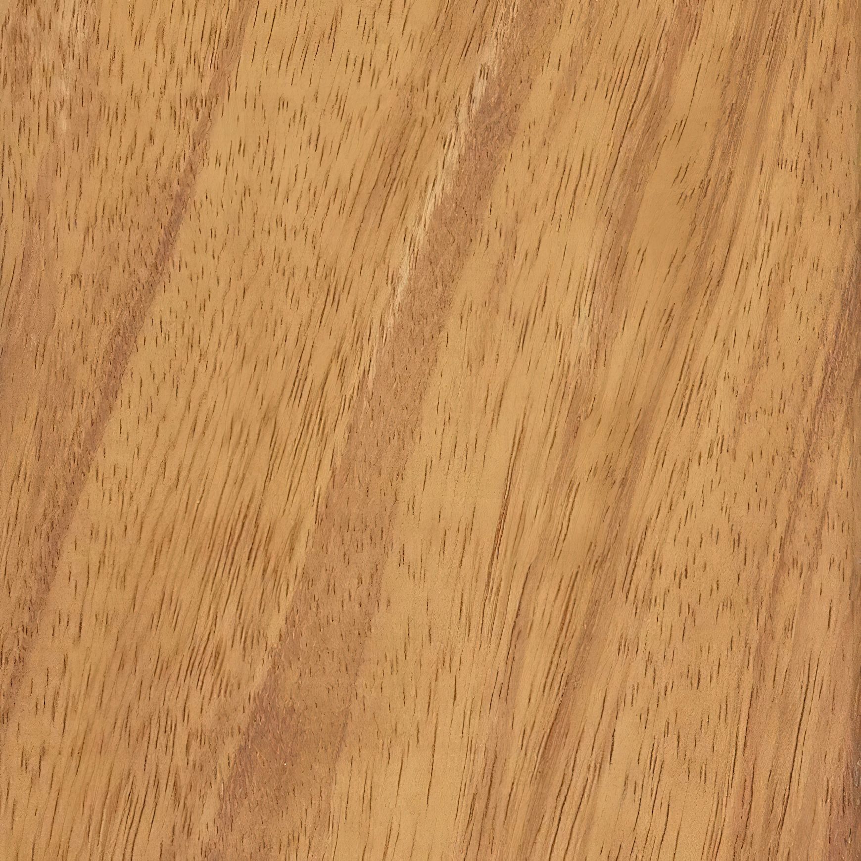 JSC Timber Species Range