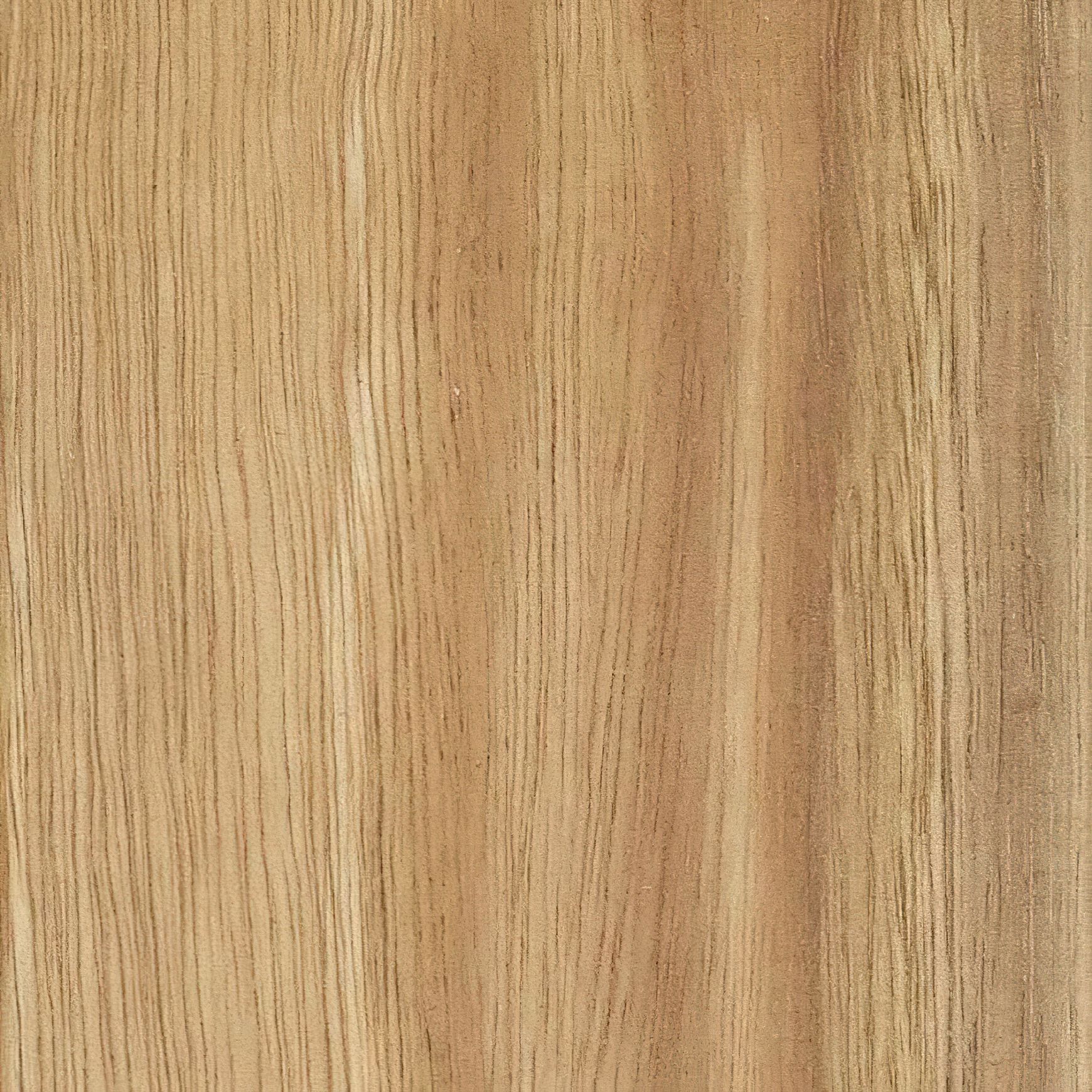 JSC Timber Species Range