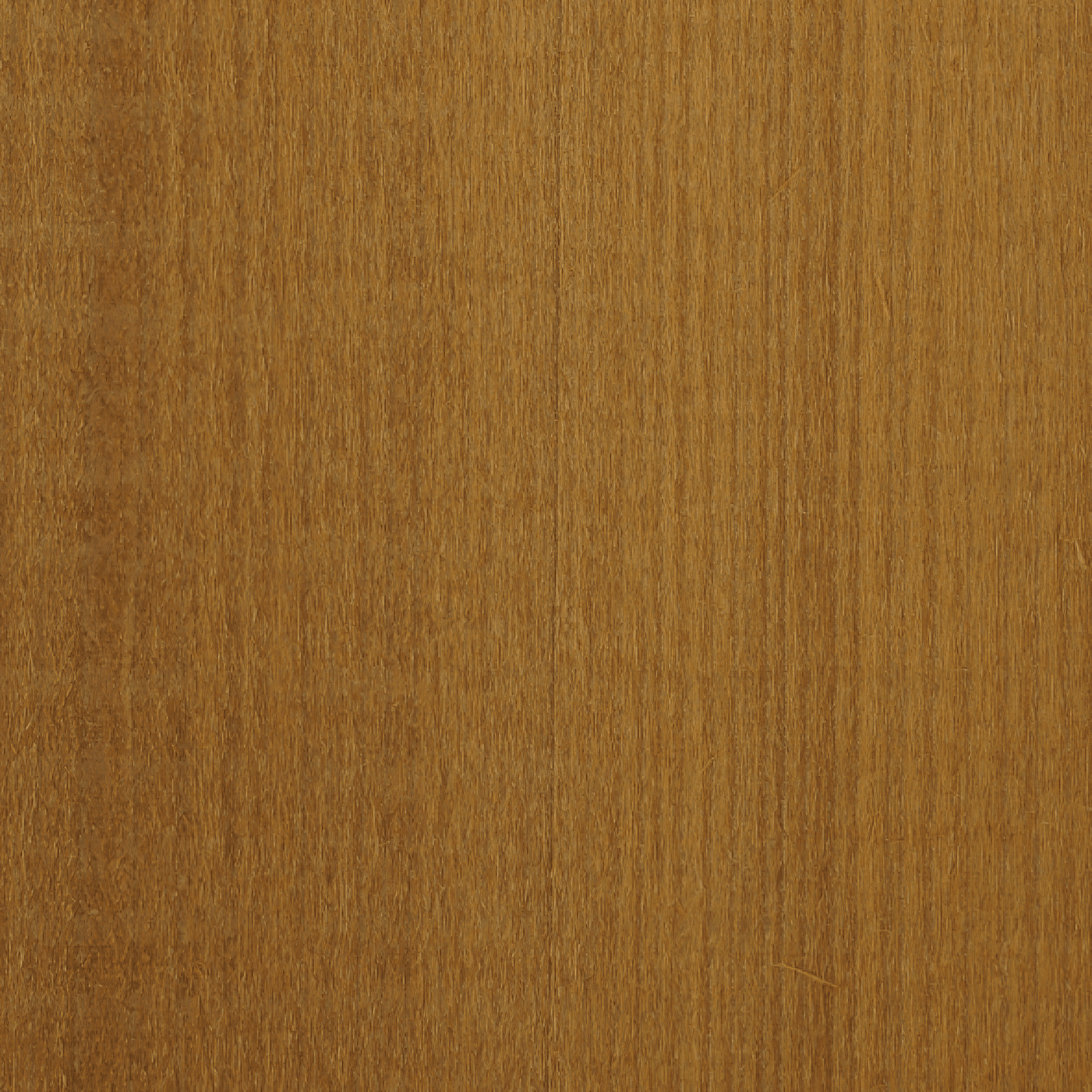 JSC Timber Species Range