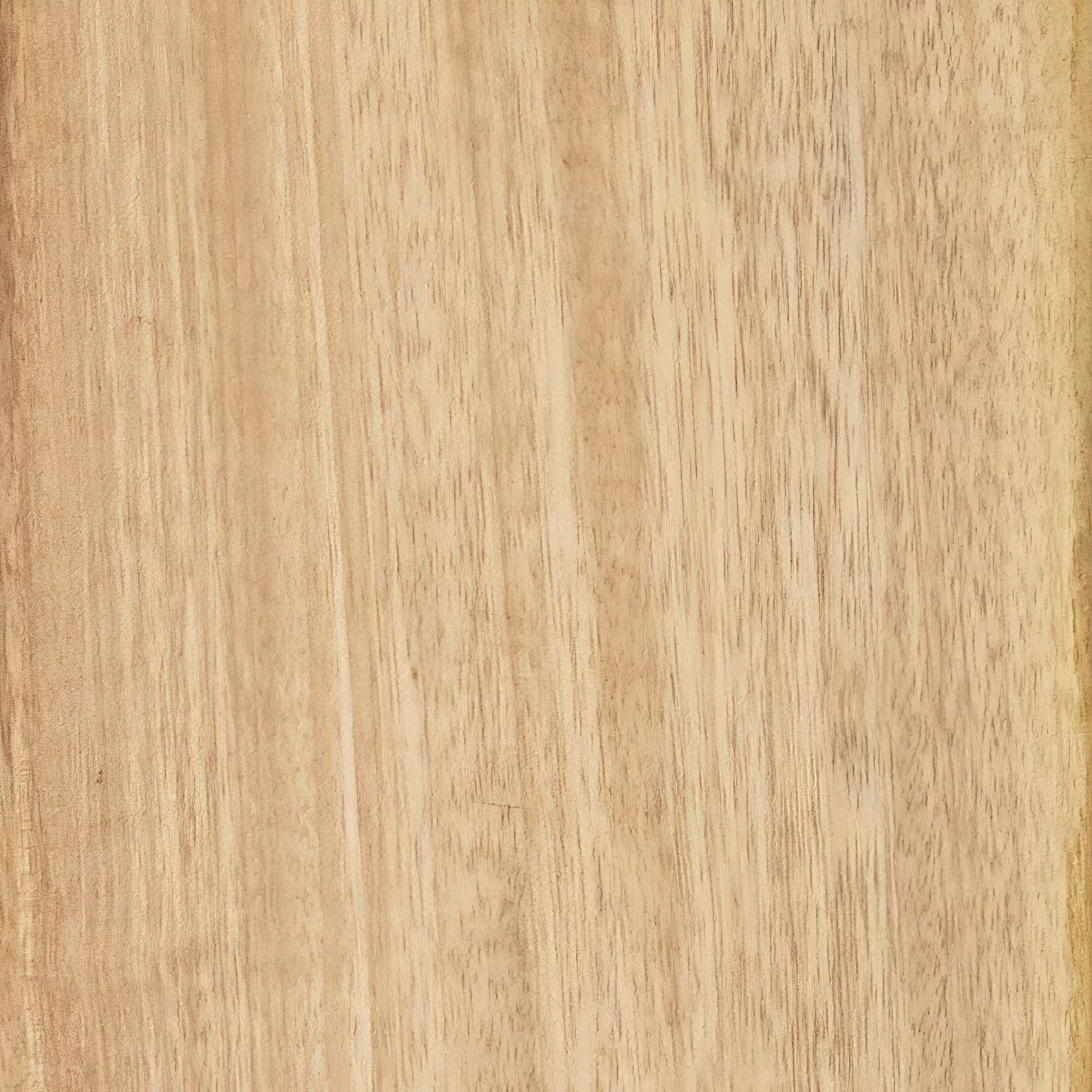 JSC Timber Species Range