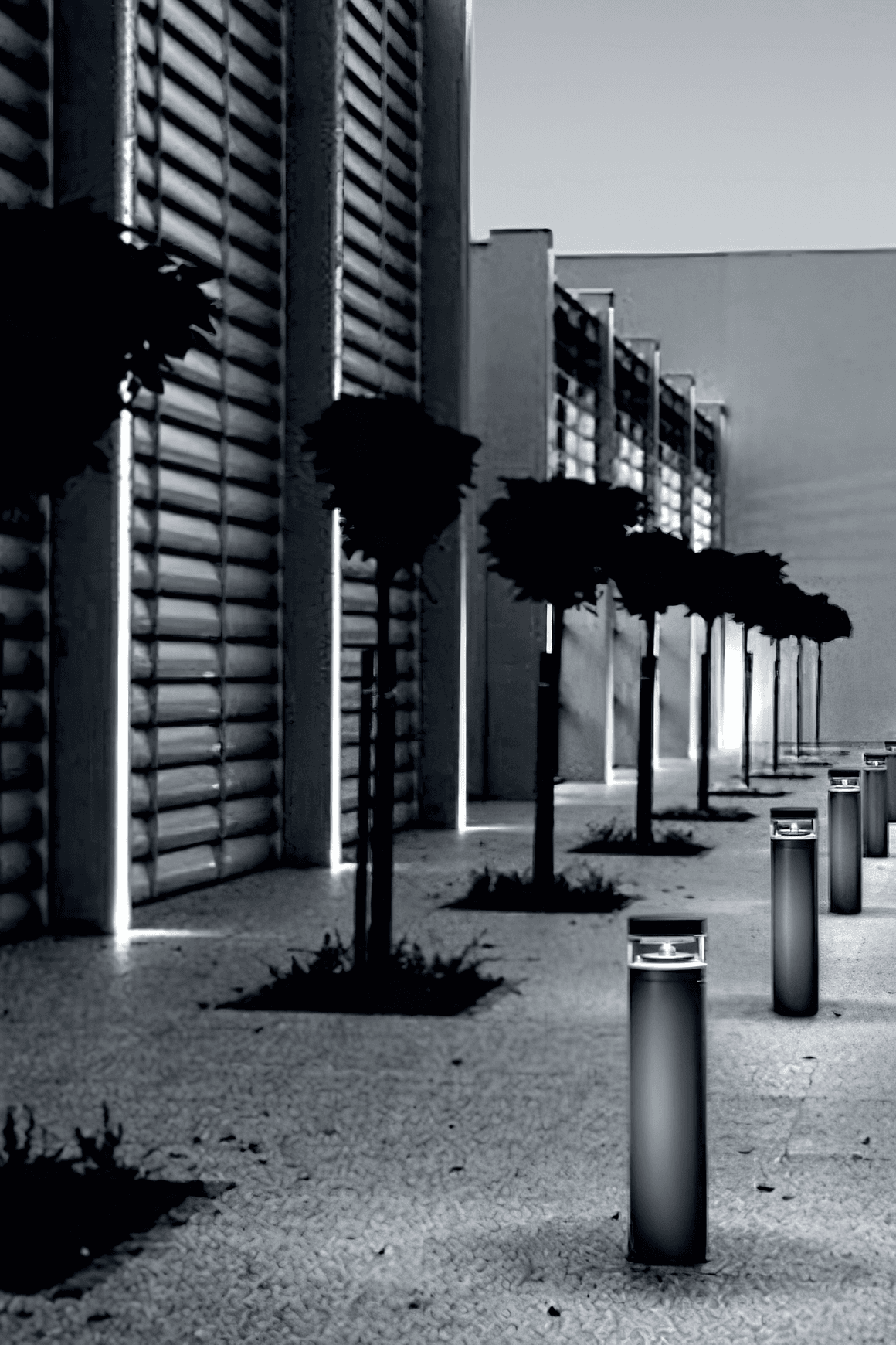 Ikonic Bollard Light