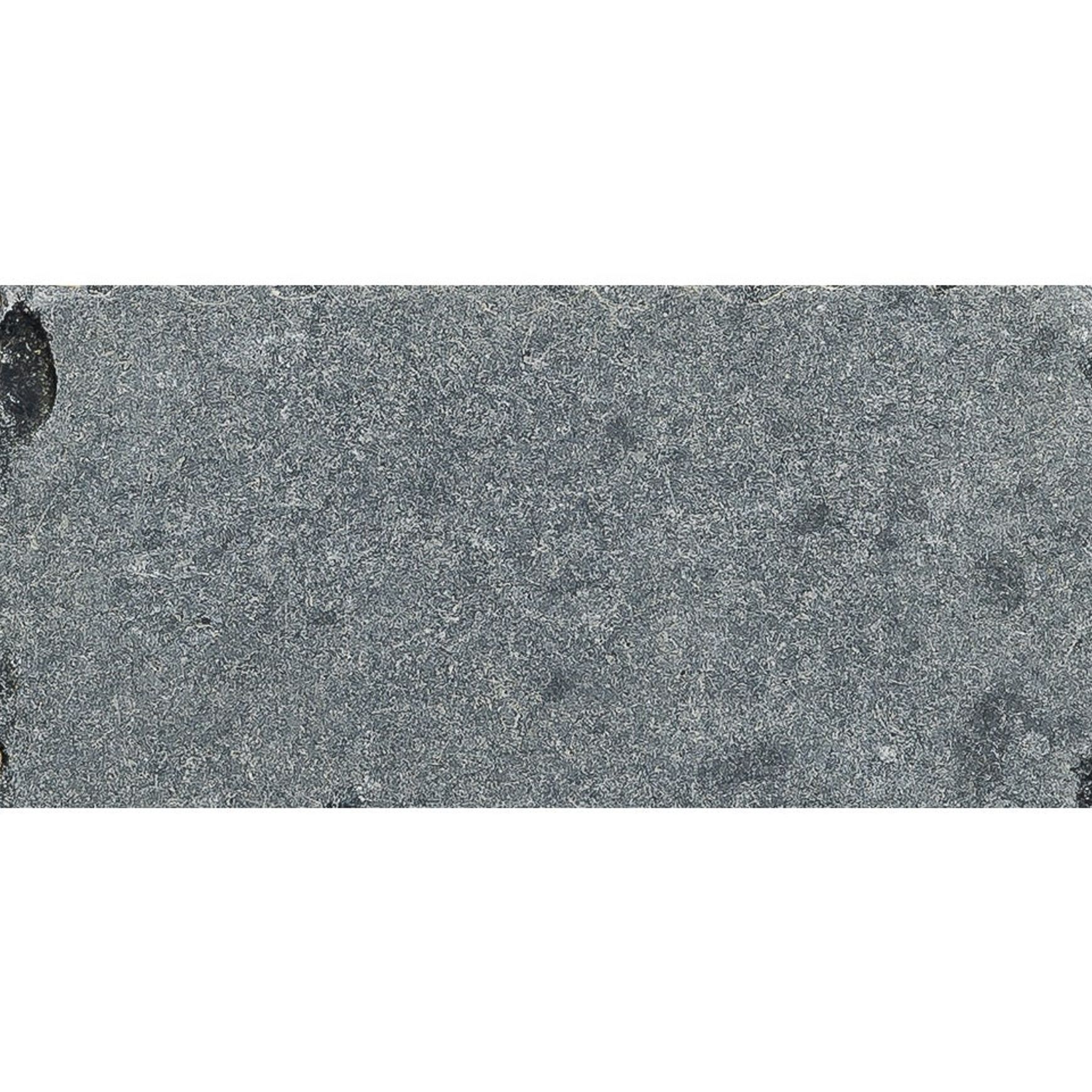 Bluestone Paver