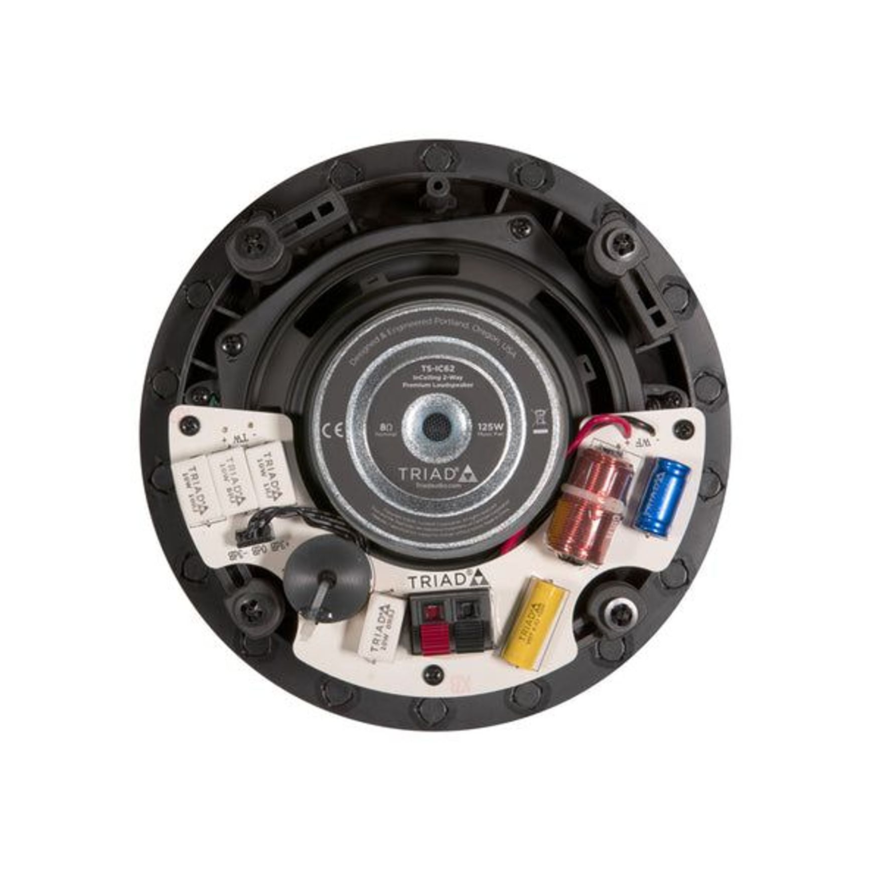 Adept IC62 6" 2 Way InCeiling Speaker