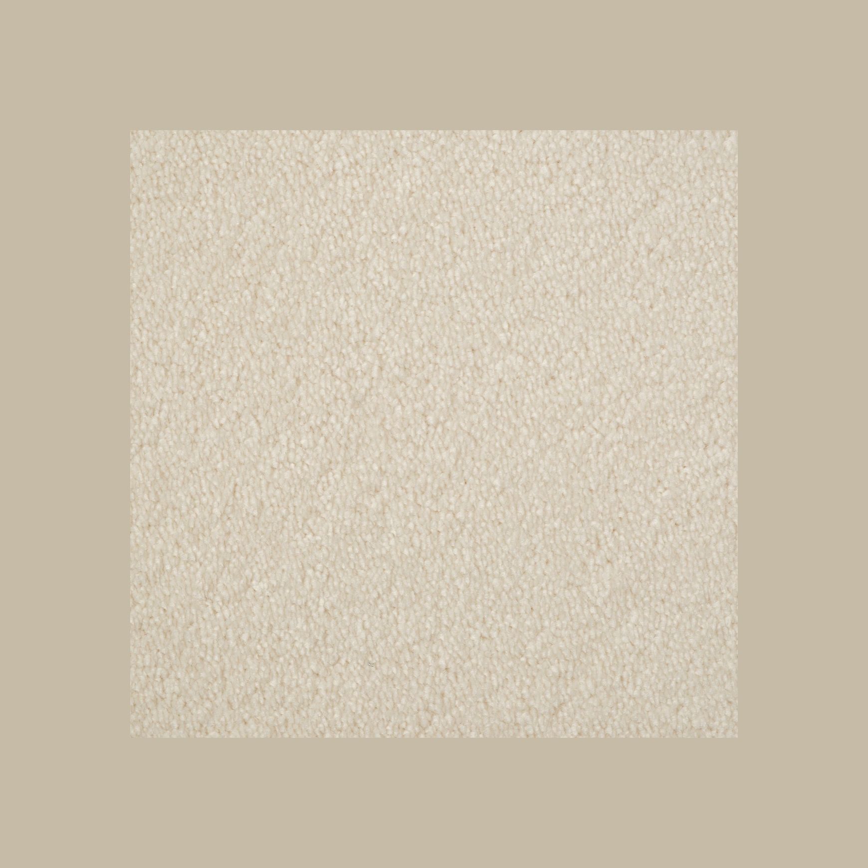 Evoke 2623