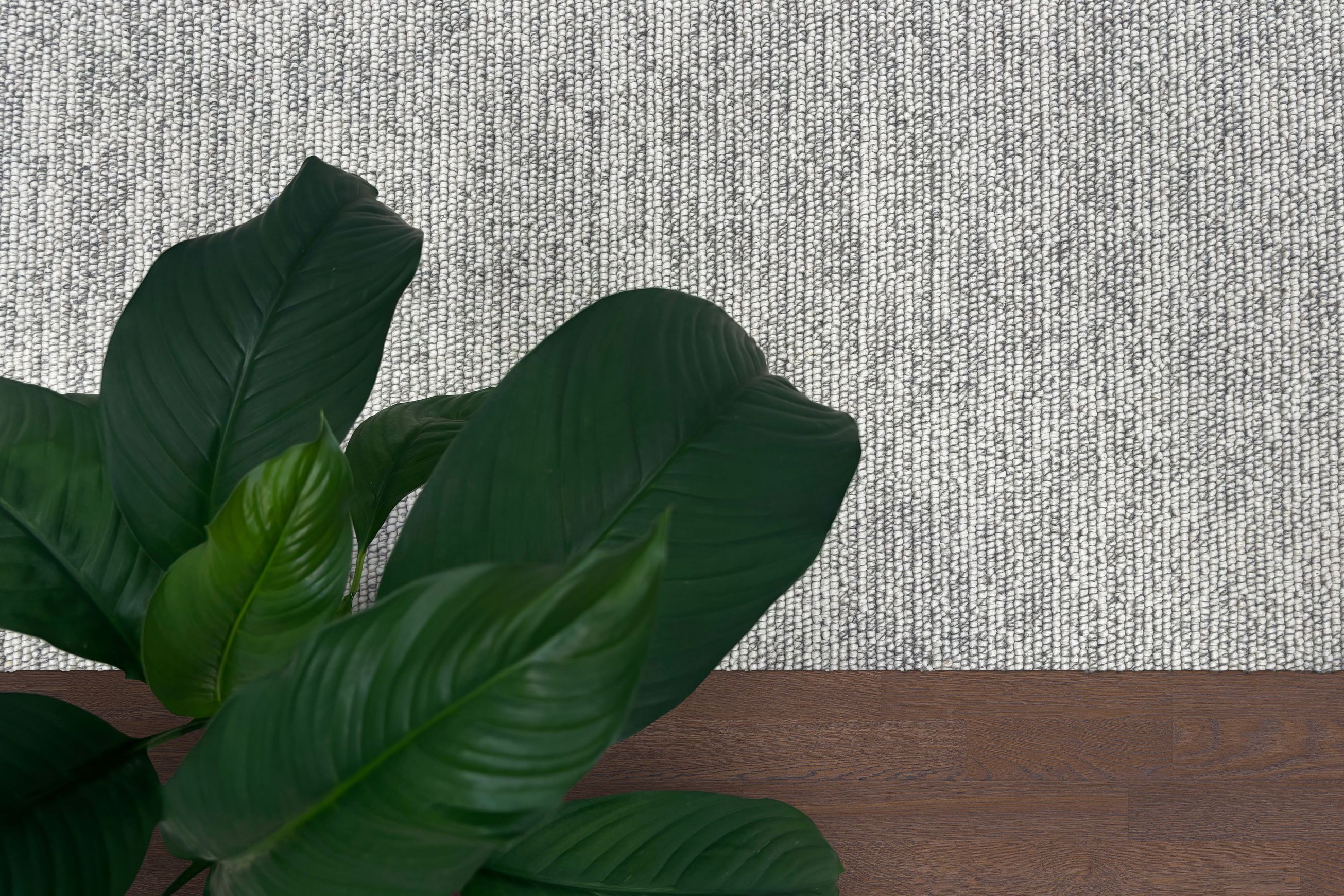 Belleville | Premium Wool