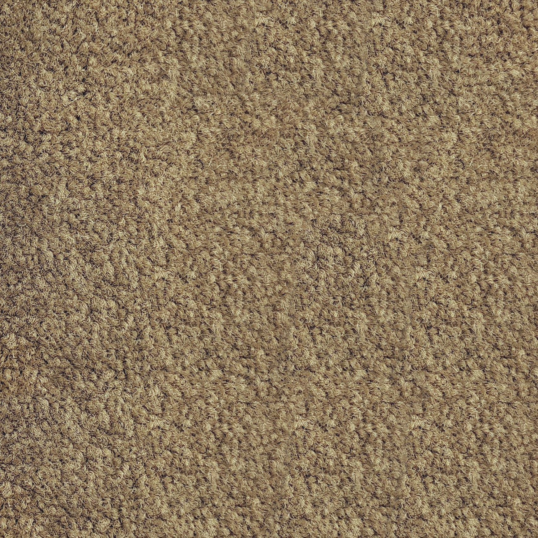 Riverside Reserve by Belgotex | Carpet