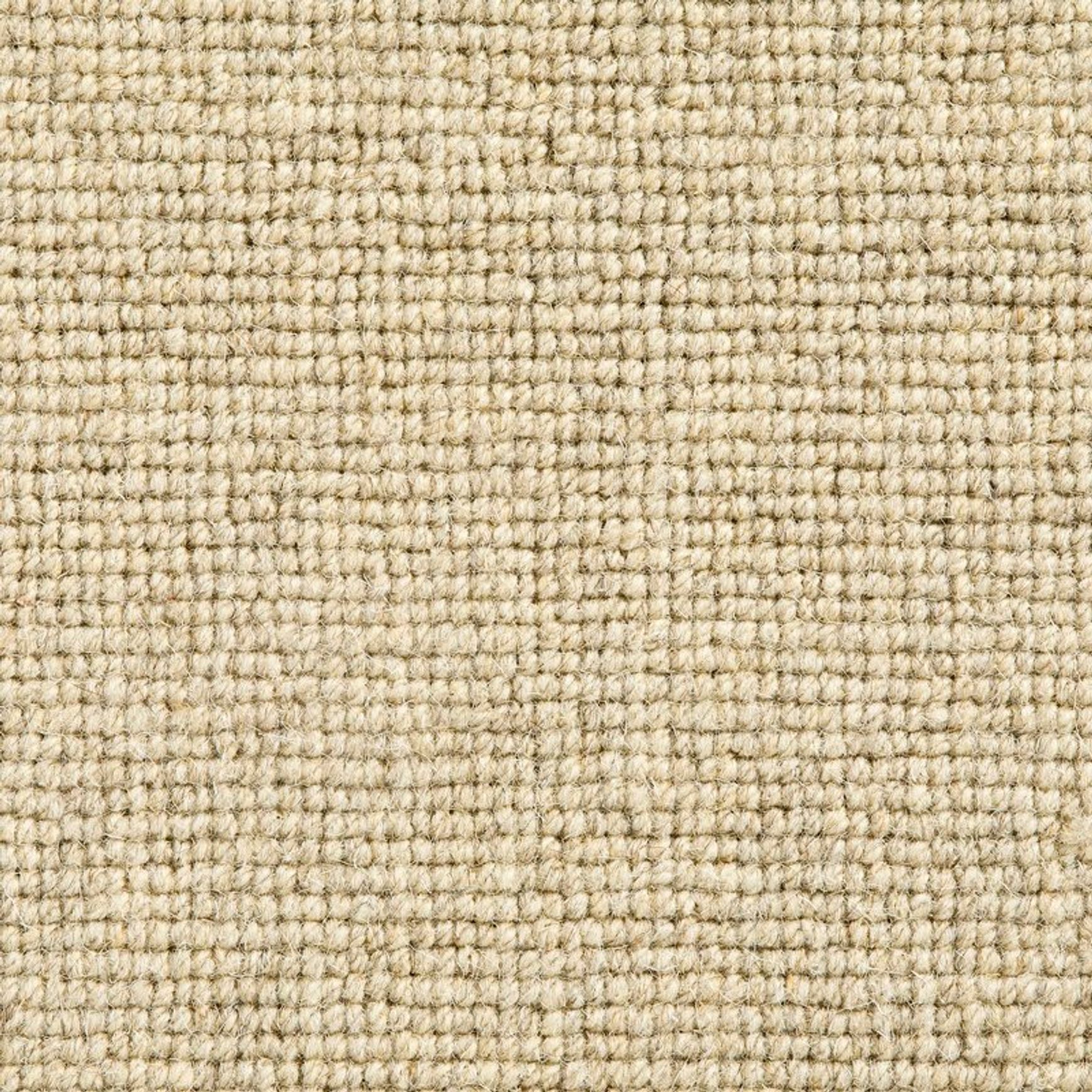 Daiya Rug
