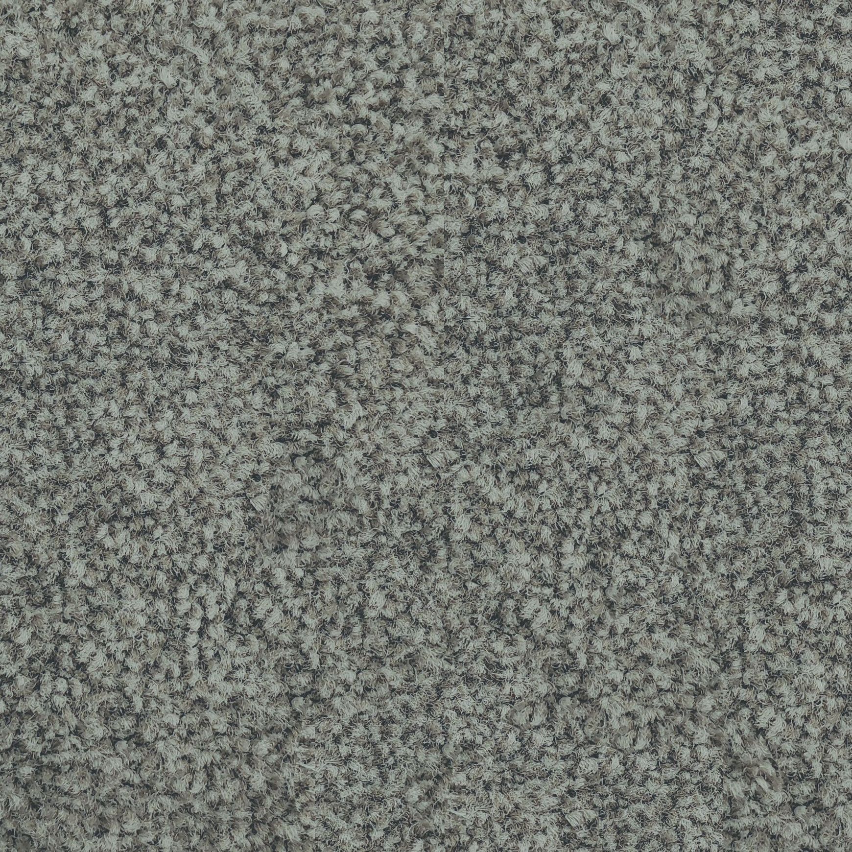 Riverside Reserve by Belgotex | Carpet