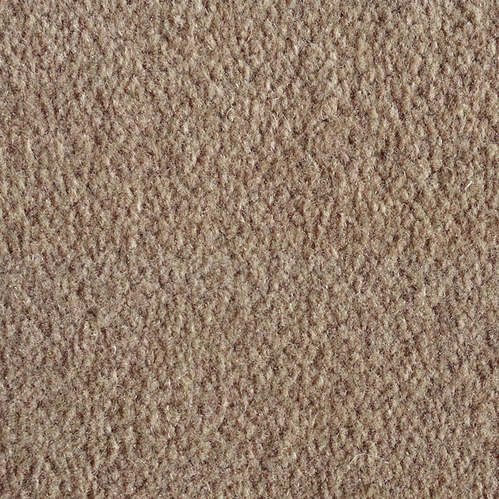 Seidler Solid Colour Axminster | Carpet Flooring