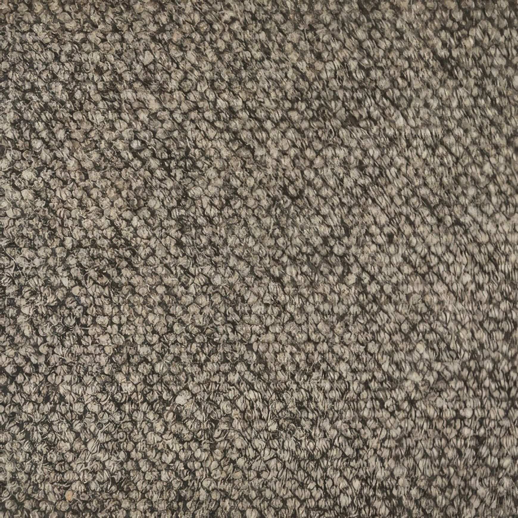 Lhasa | Premium Wool