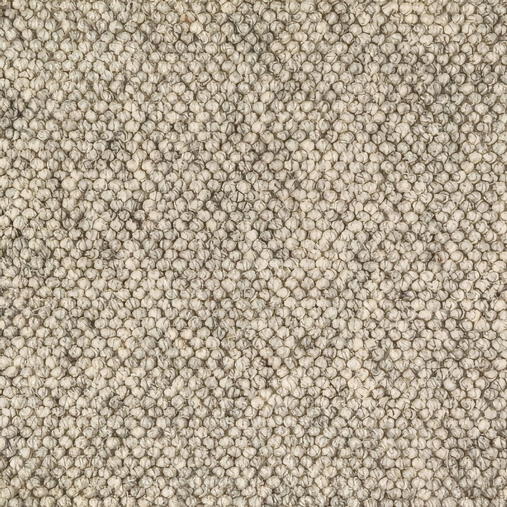 Lhasa | Premium Wool