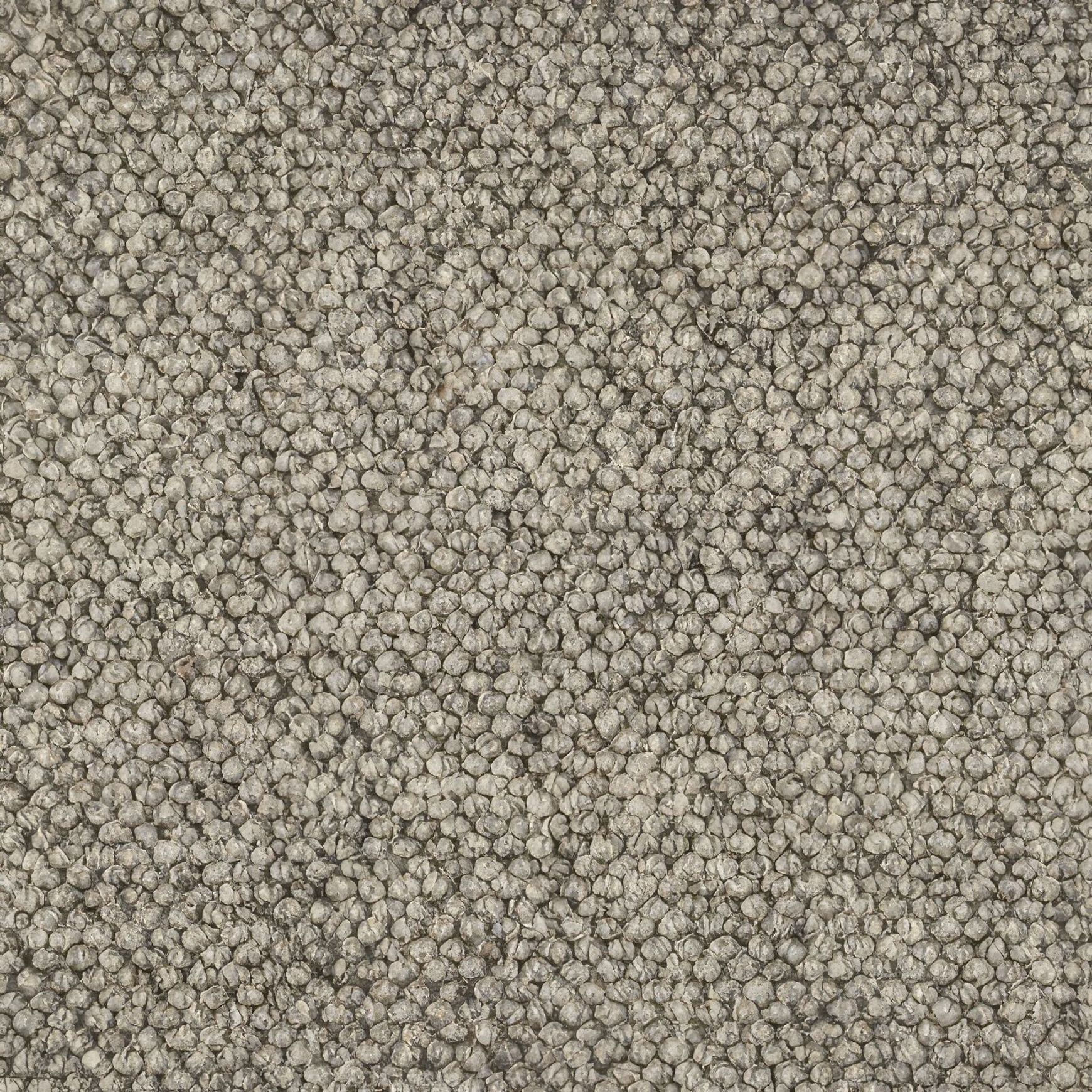 Lhasa | Premium Wool