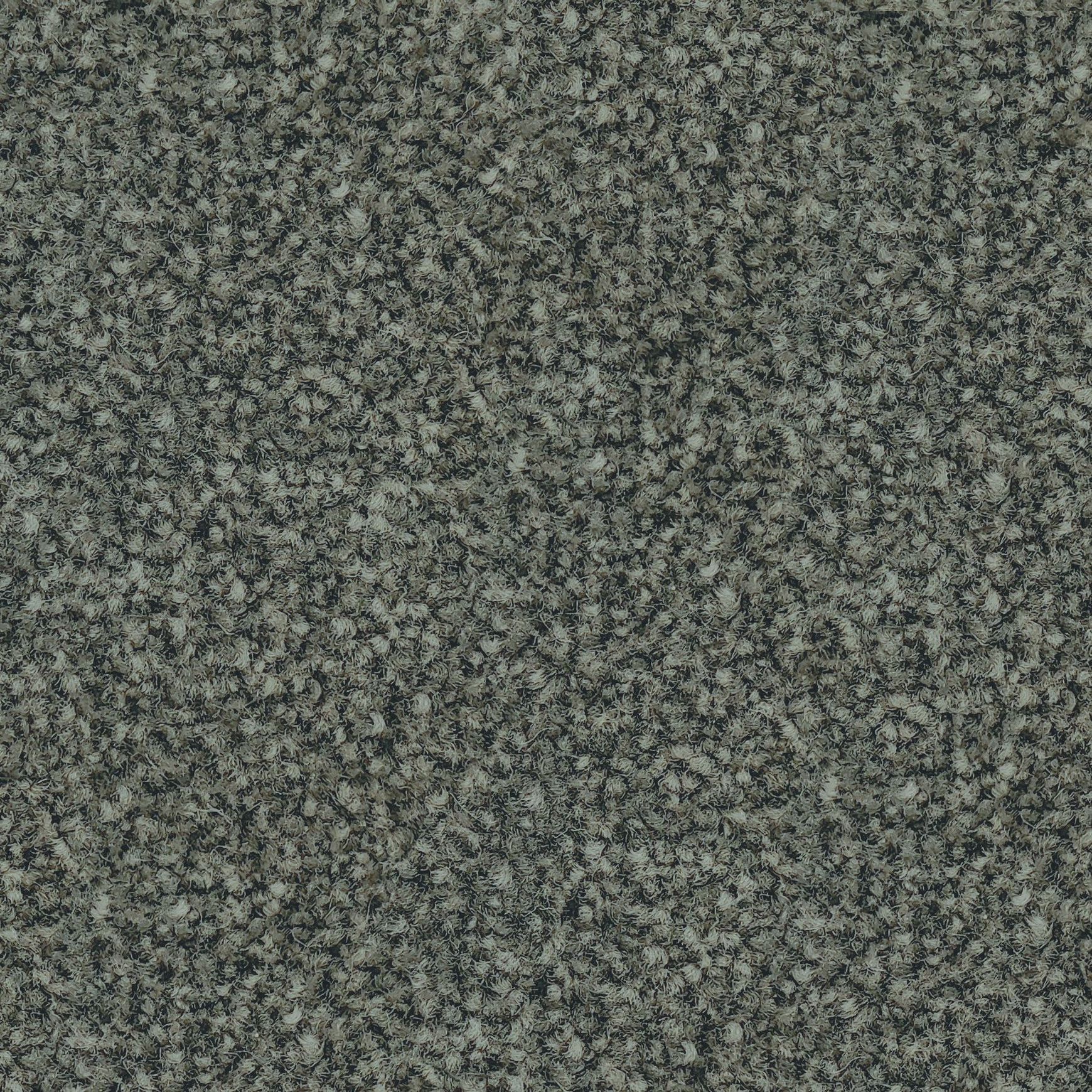 Forest Grove by Belgotex | Carpet