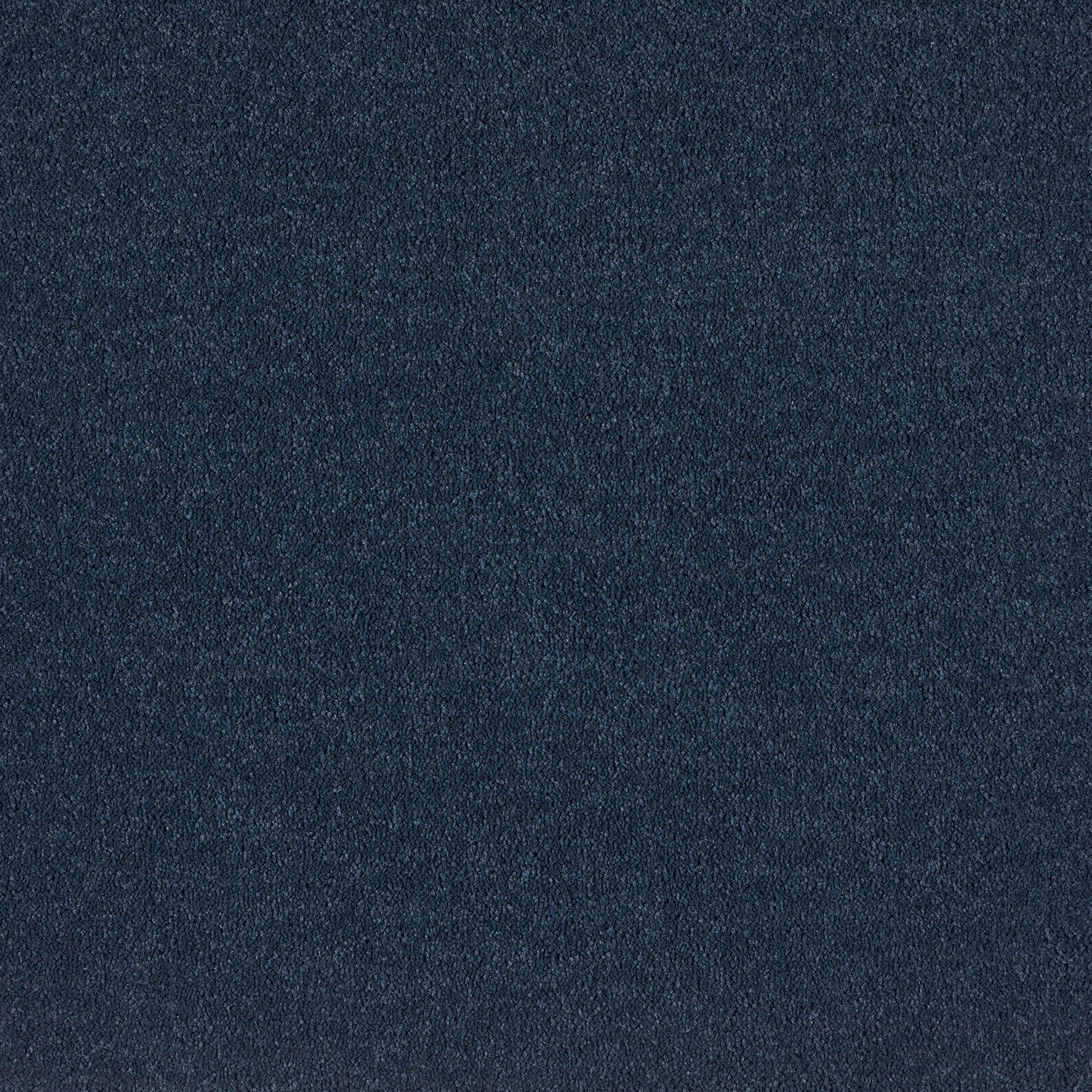 Westminster | Premium SDN