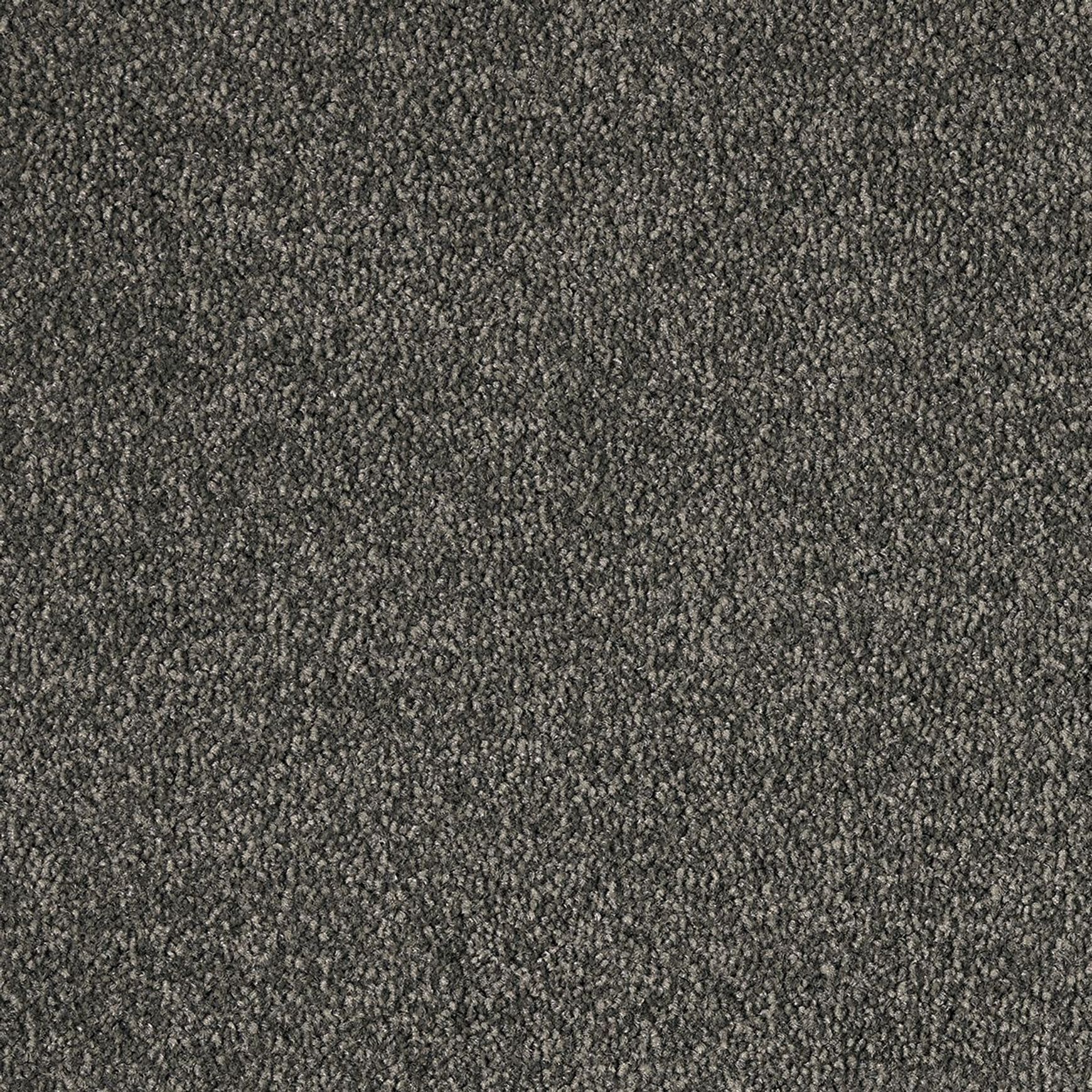 Westminster | Premium SDN