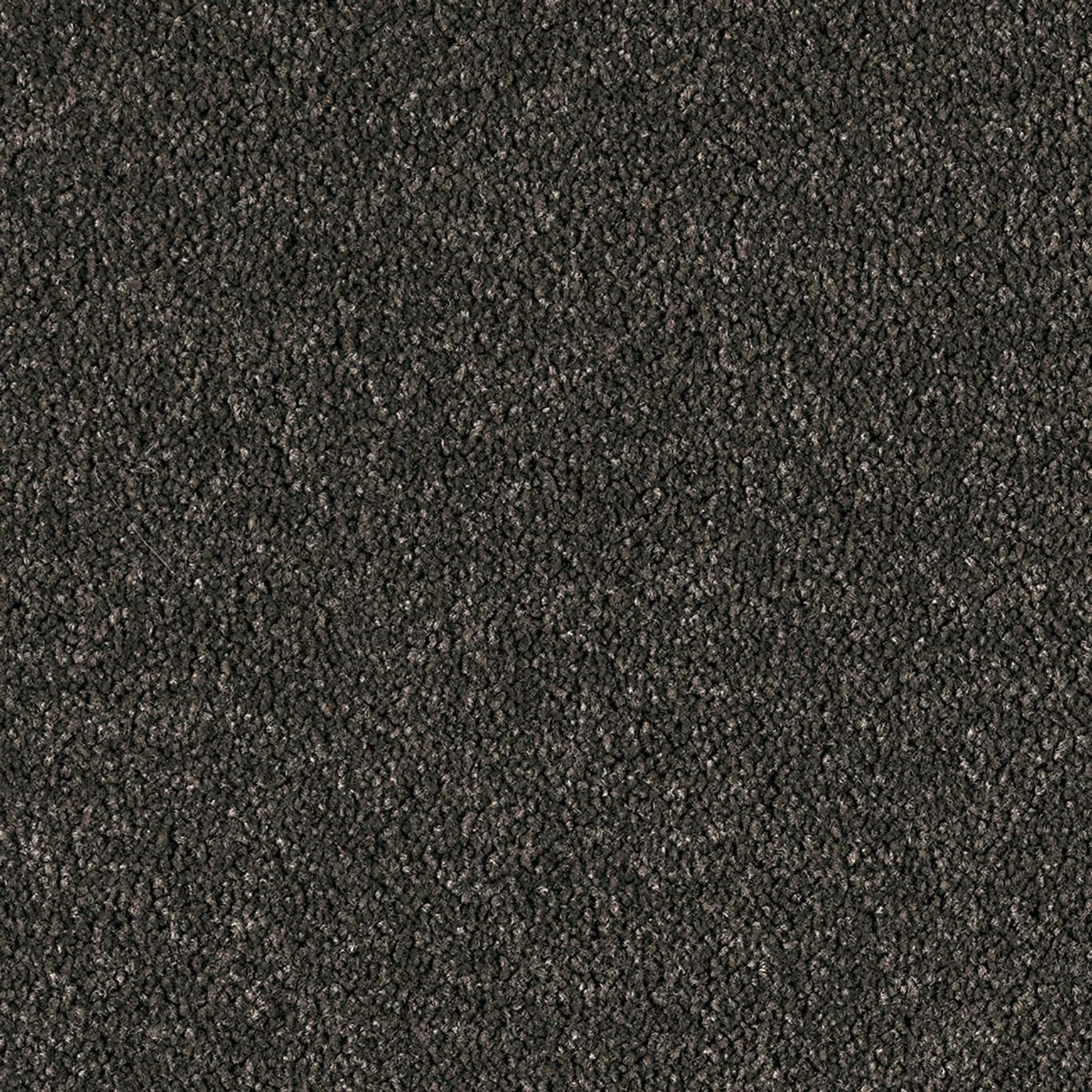 Westminster | Premium SDN