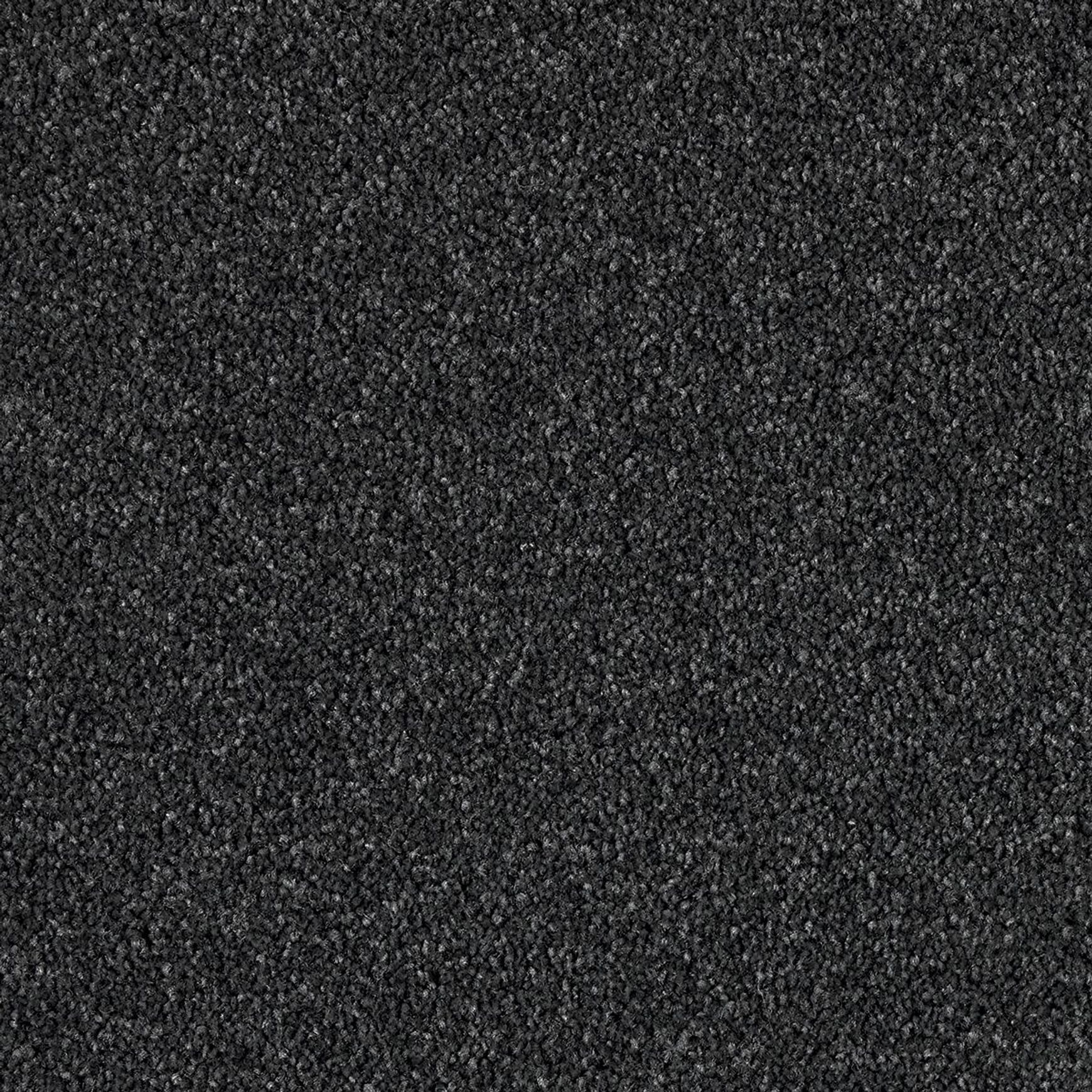 Westminster | Premium SDN