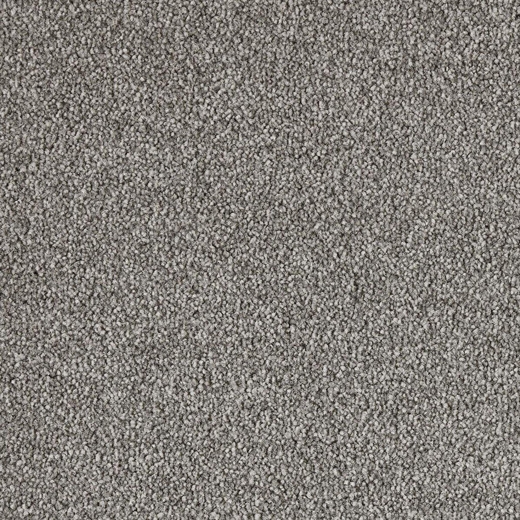 Westminster | Premium SDN