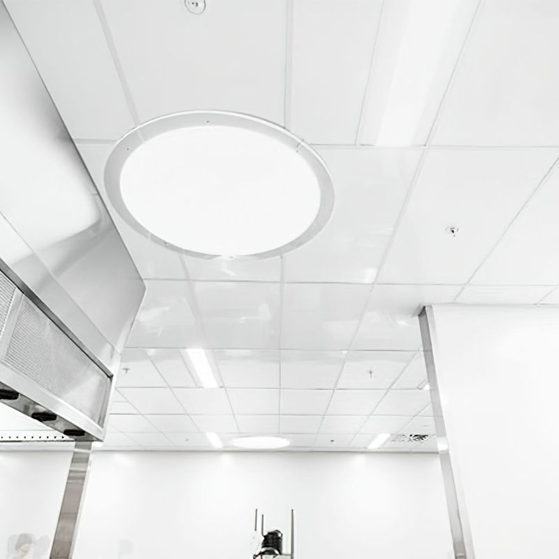 Fenta Hygiene Ceiling Tile