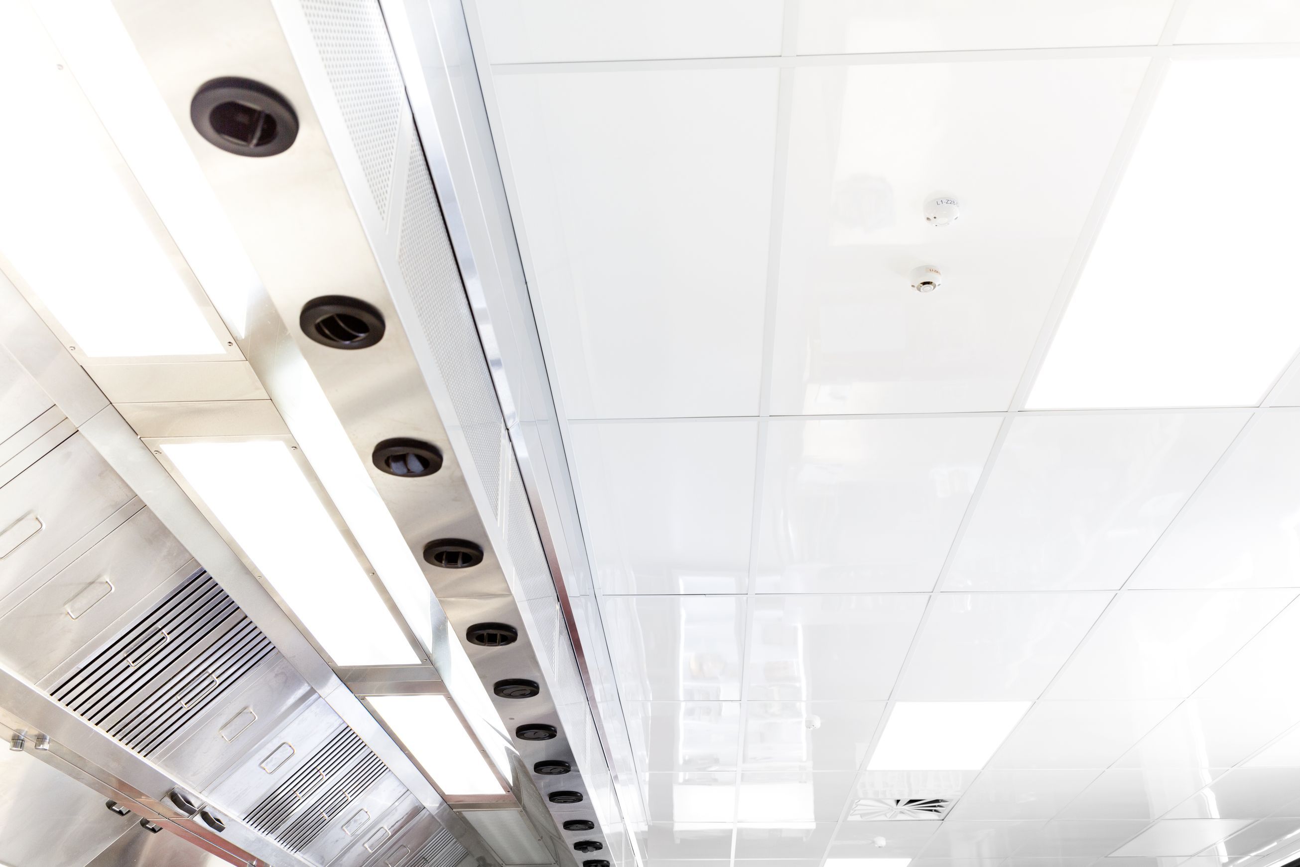 Fenta™ Ceiling Tiles