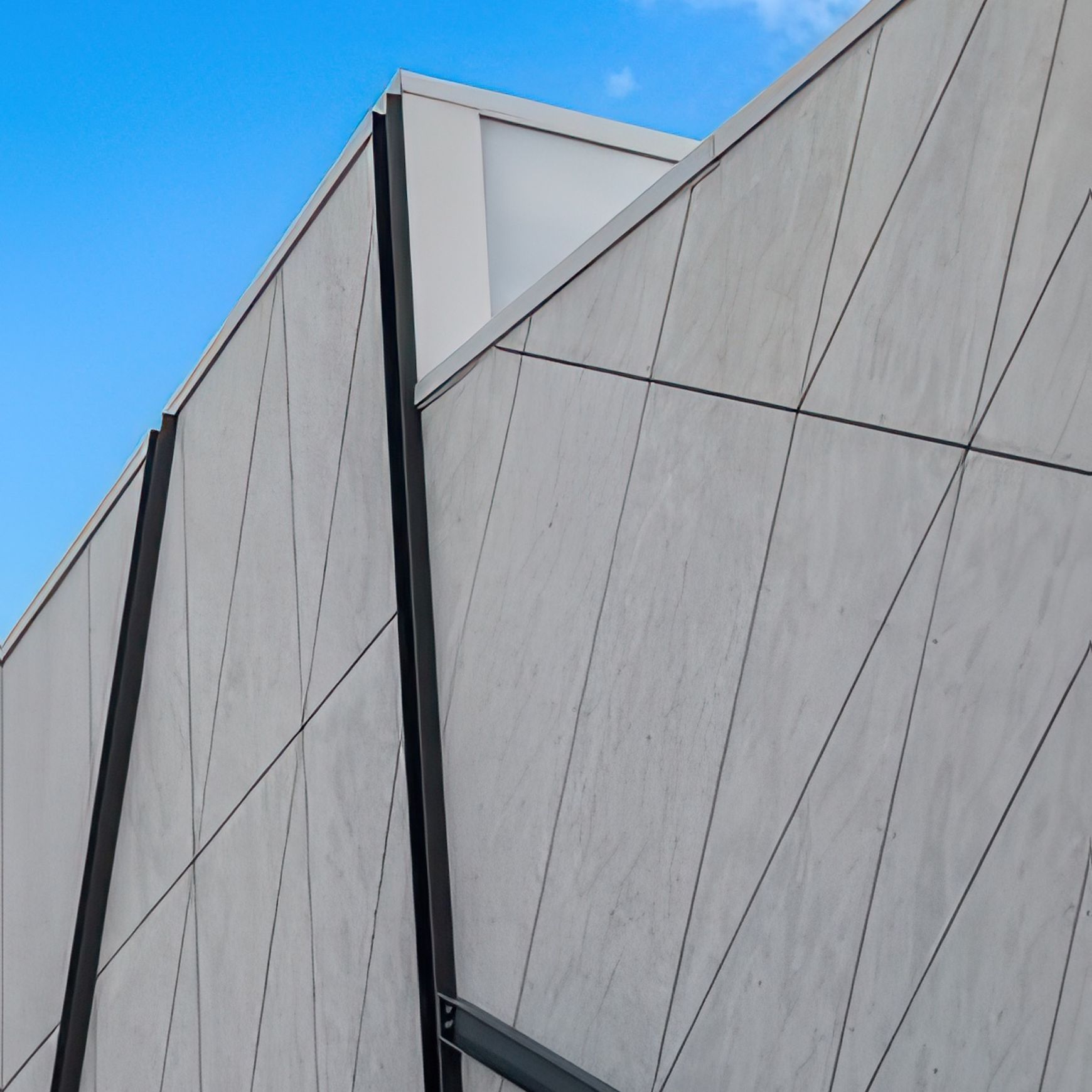 Cemintel® Barestone