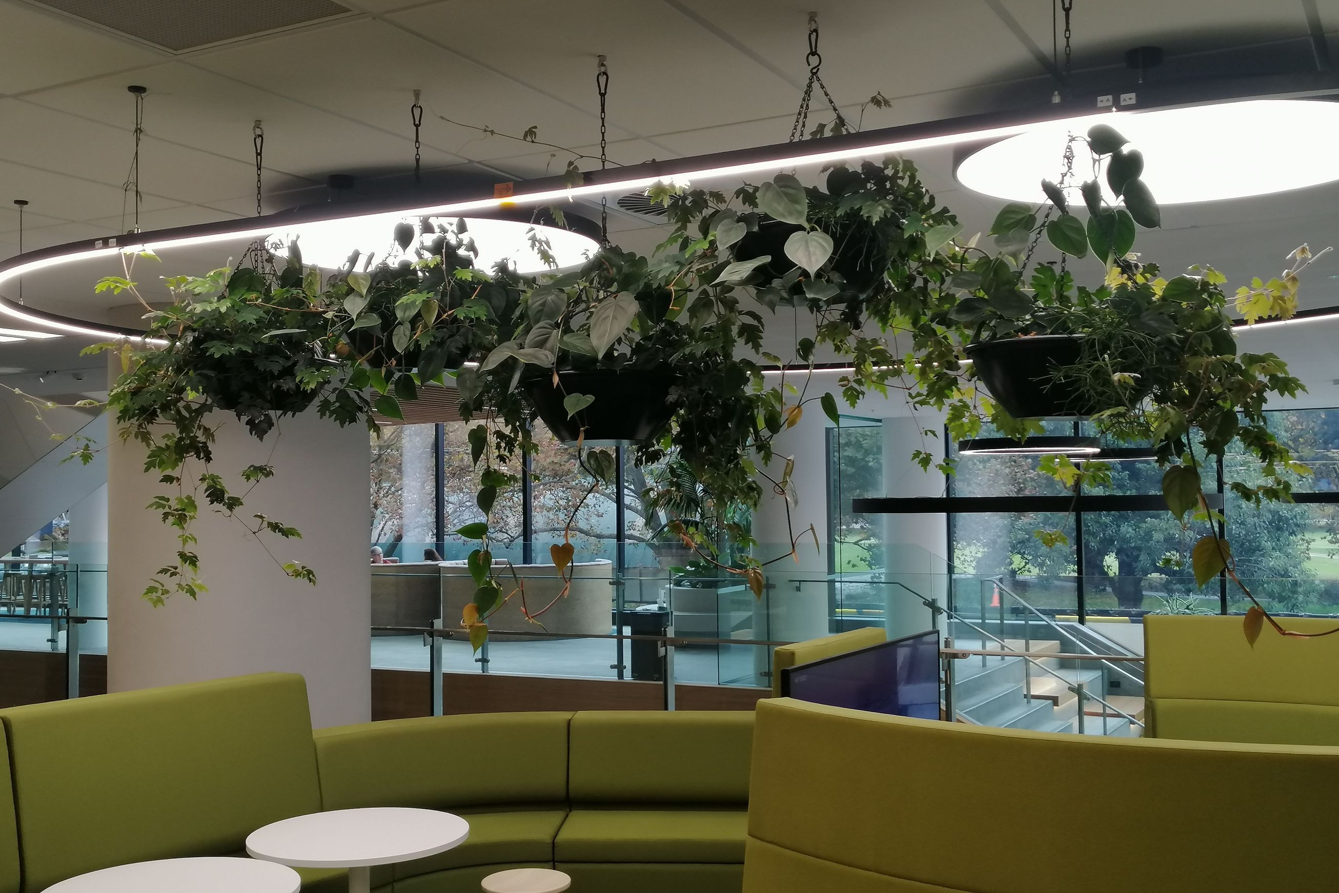 Vertical Live Plant Installations | Hire Plants