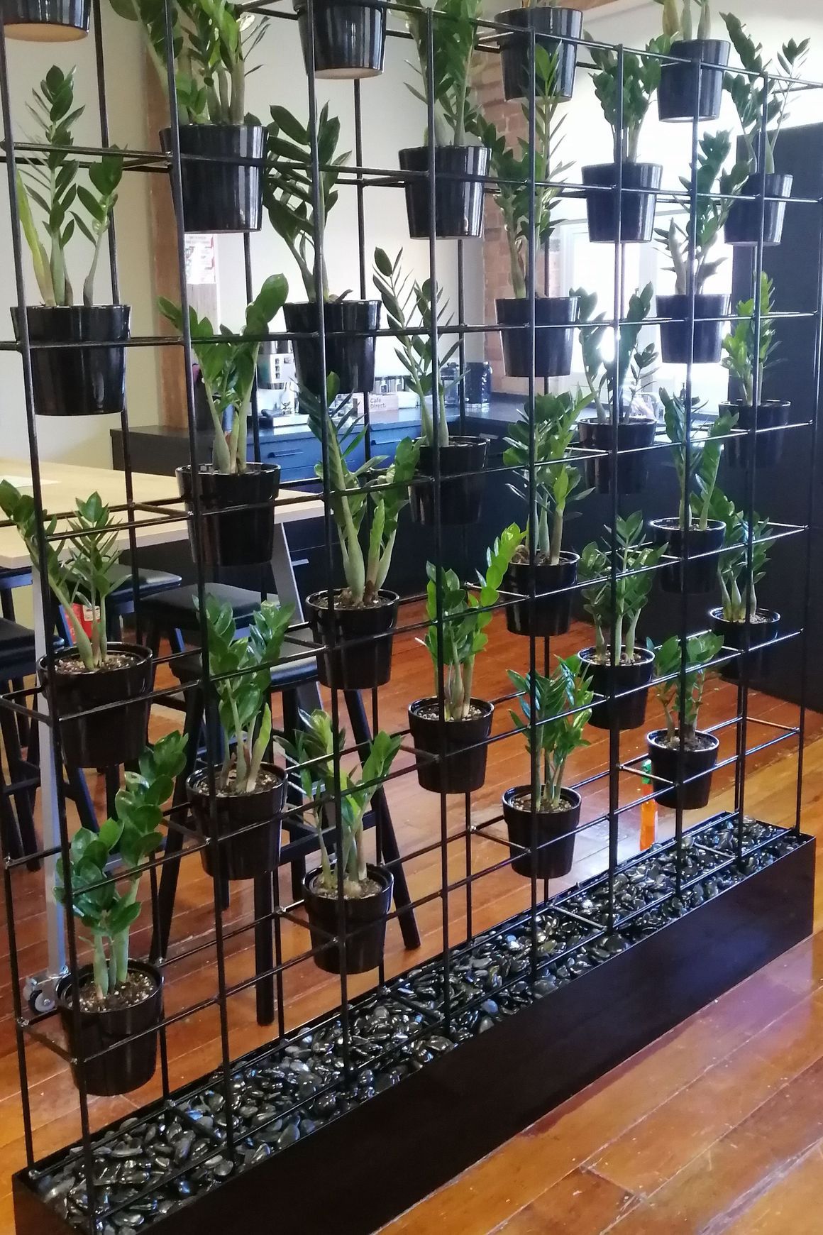 Vertical Live Plant Installations | Hire Plants